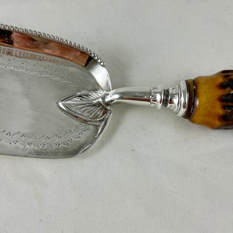 Atkin Brothers Sheffield England Stag Horn Handle & Silver Plate Table Crumber In Good Condition For Sale In Philadelphia, PA