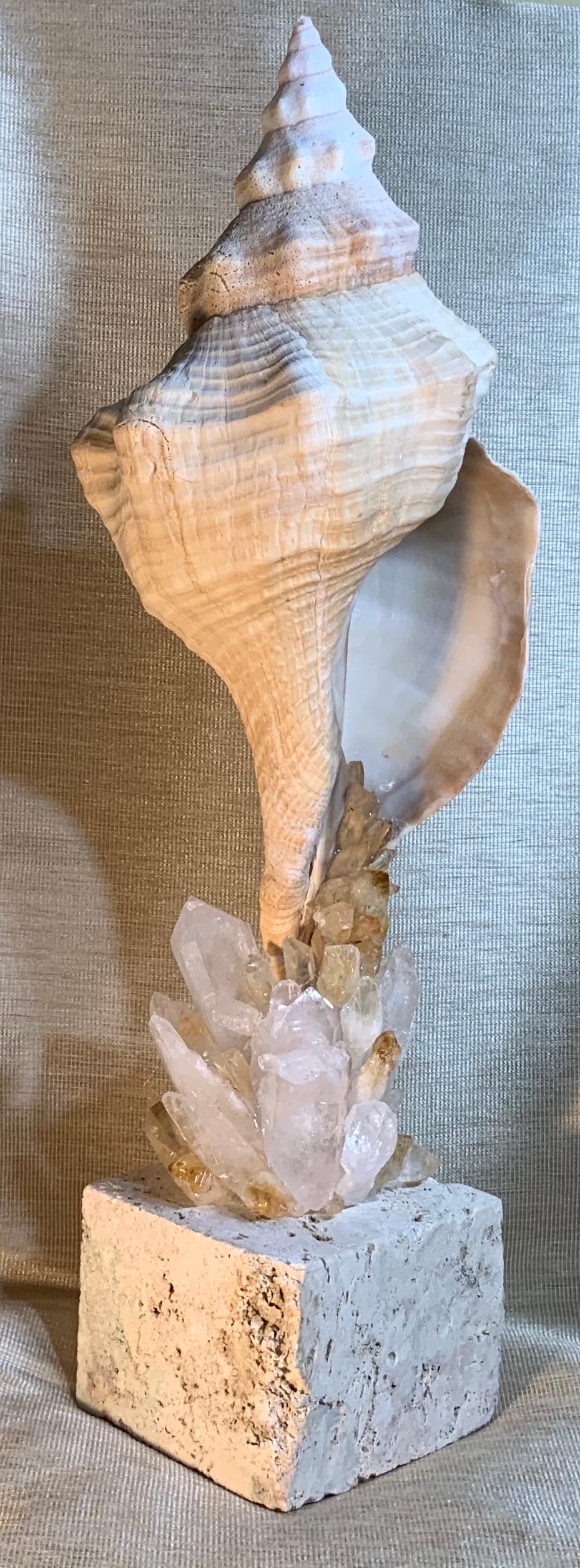 seashell quartz