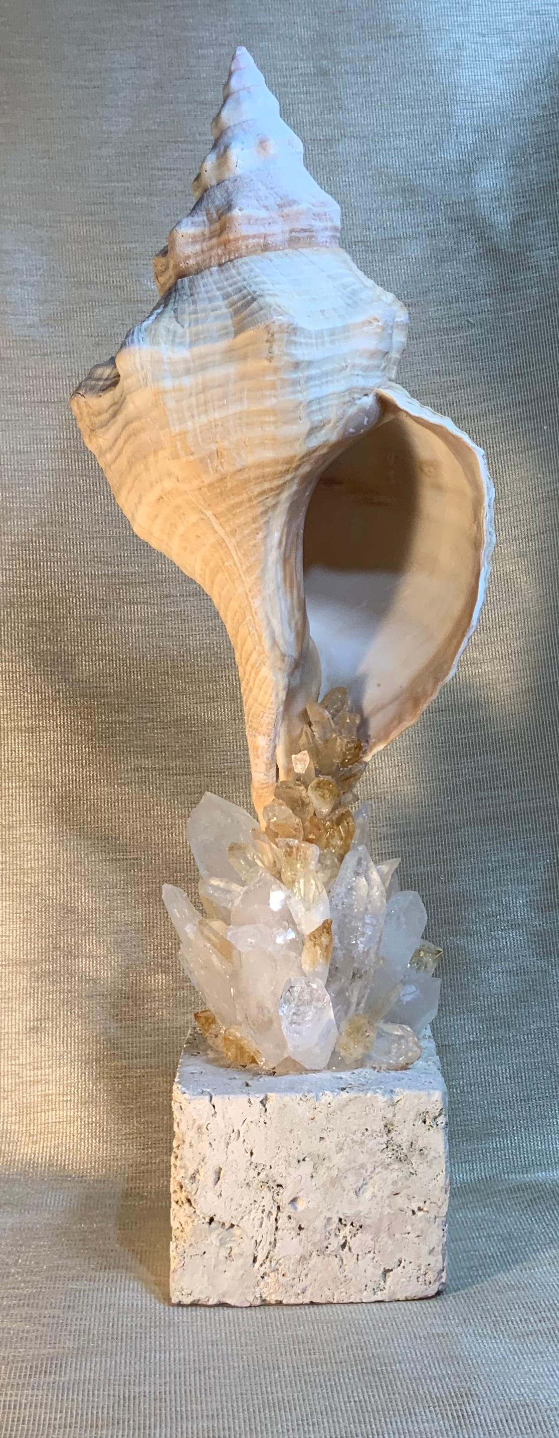 Atlantic Sea Shell and Crystal Quartz and Crystals Citrine Quartz In Good Condition For Sale In Delray Beach, FL
