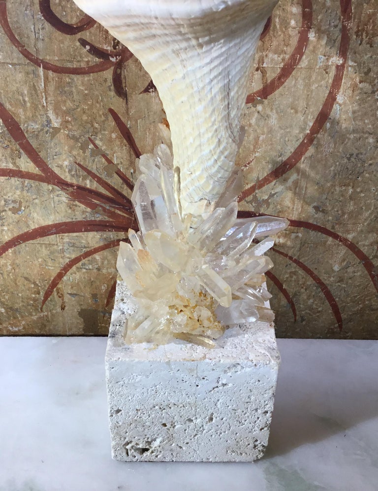 Atlantic Sea Shell and Crystal Quartz at 1stDibs