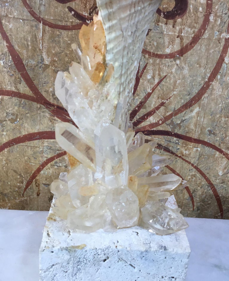 Atlantic Sea Shell and Crystal Quartz at 1stDibs