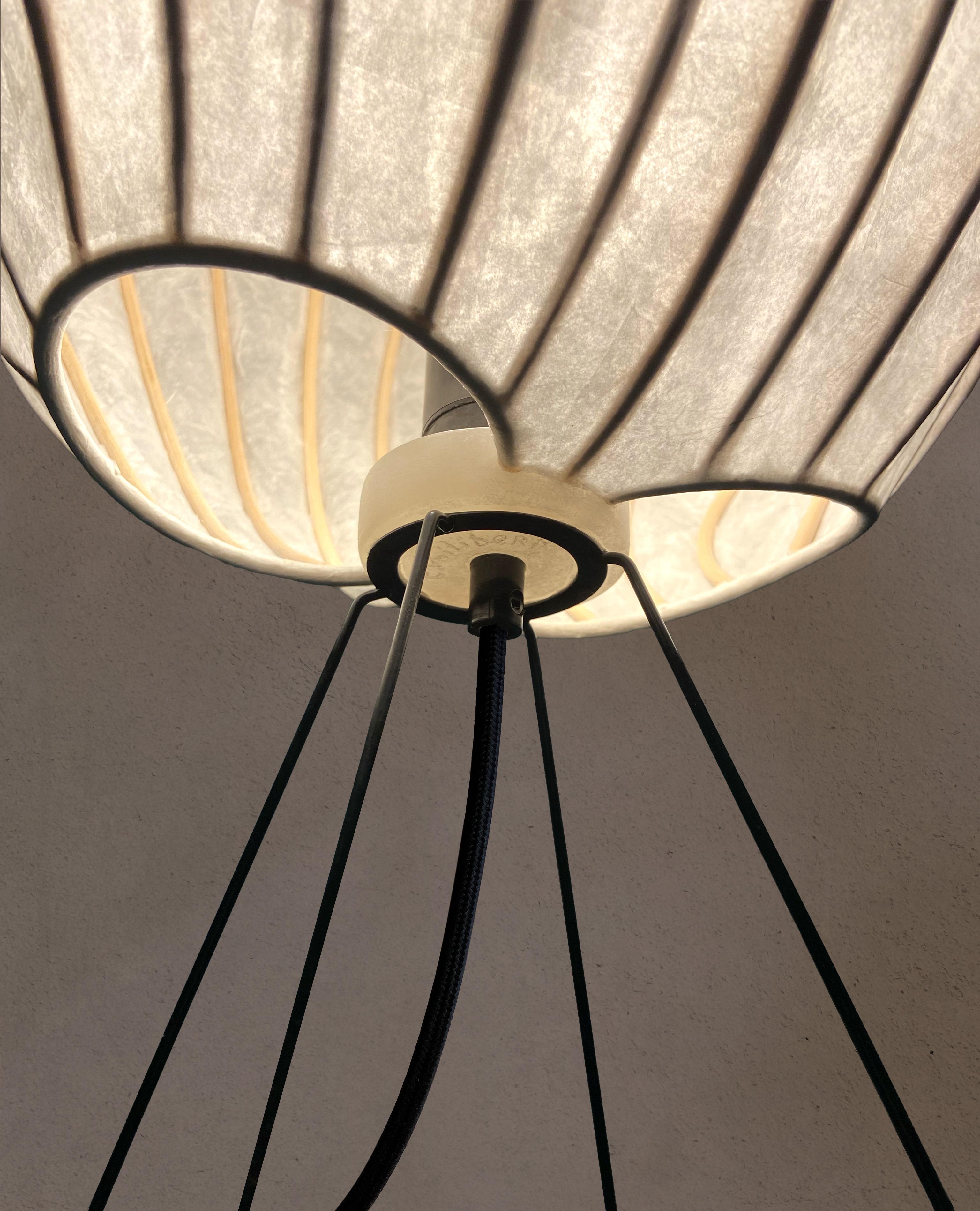 Rattan Atlantis Lamp by Cécile Philibert For Sale