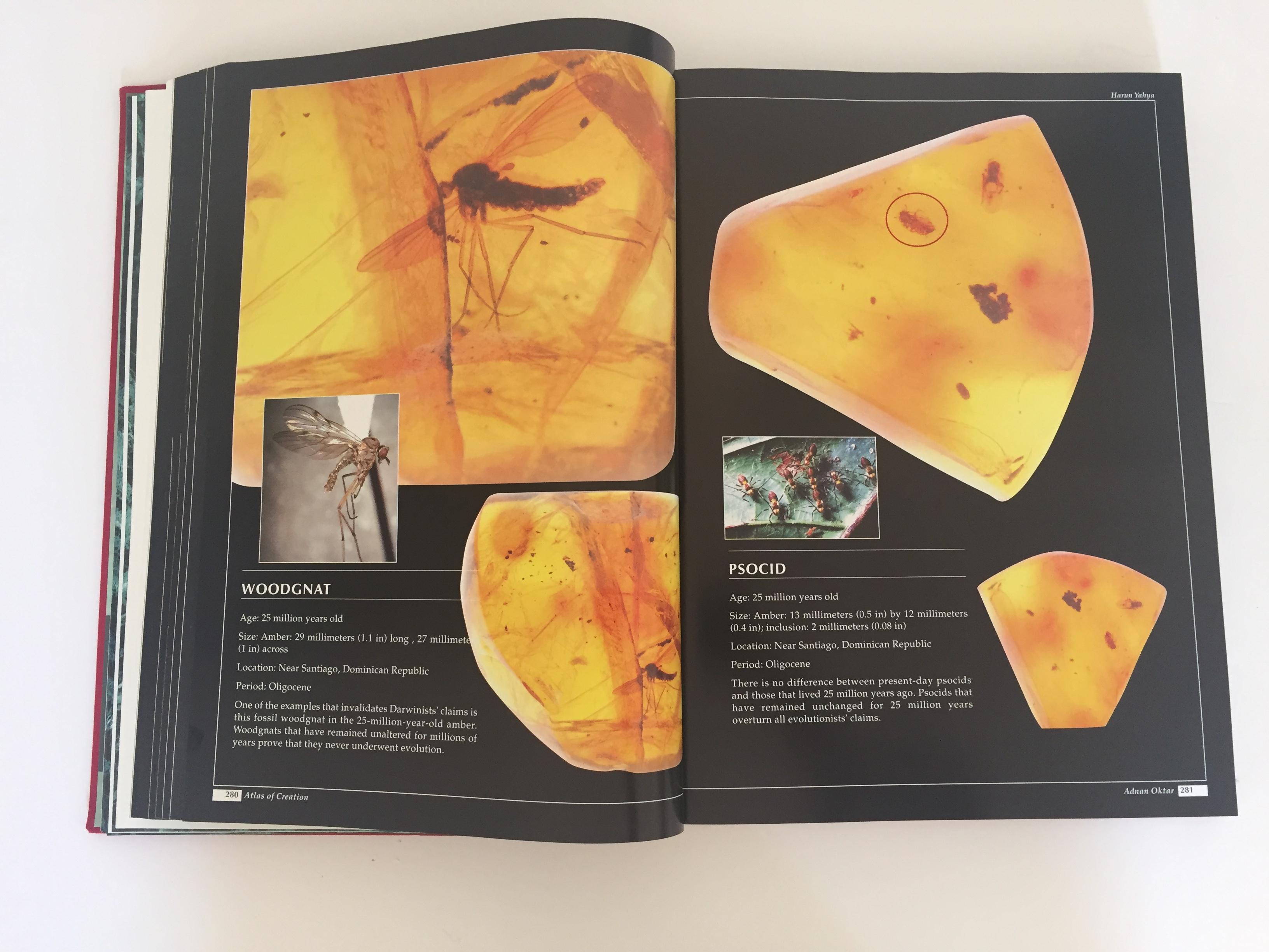 Paper Atlas of Creation by Haroun Yahya Coffee Table Display Book