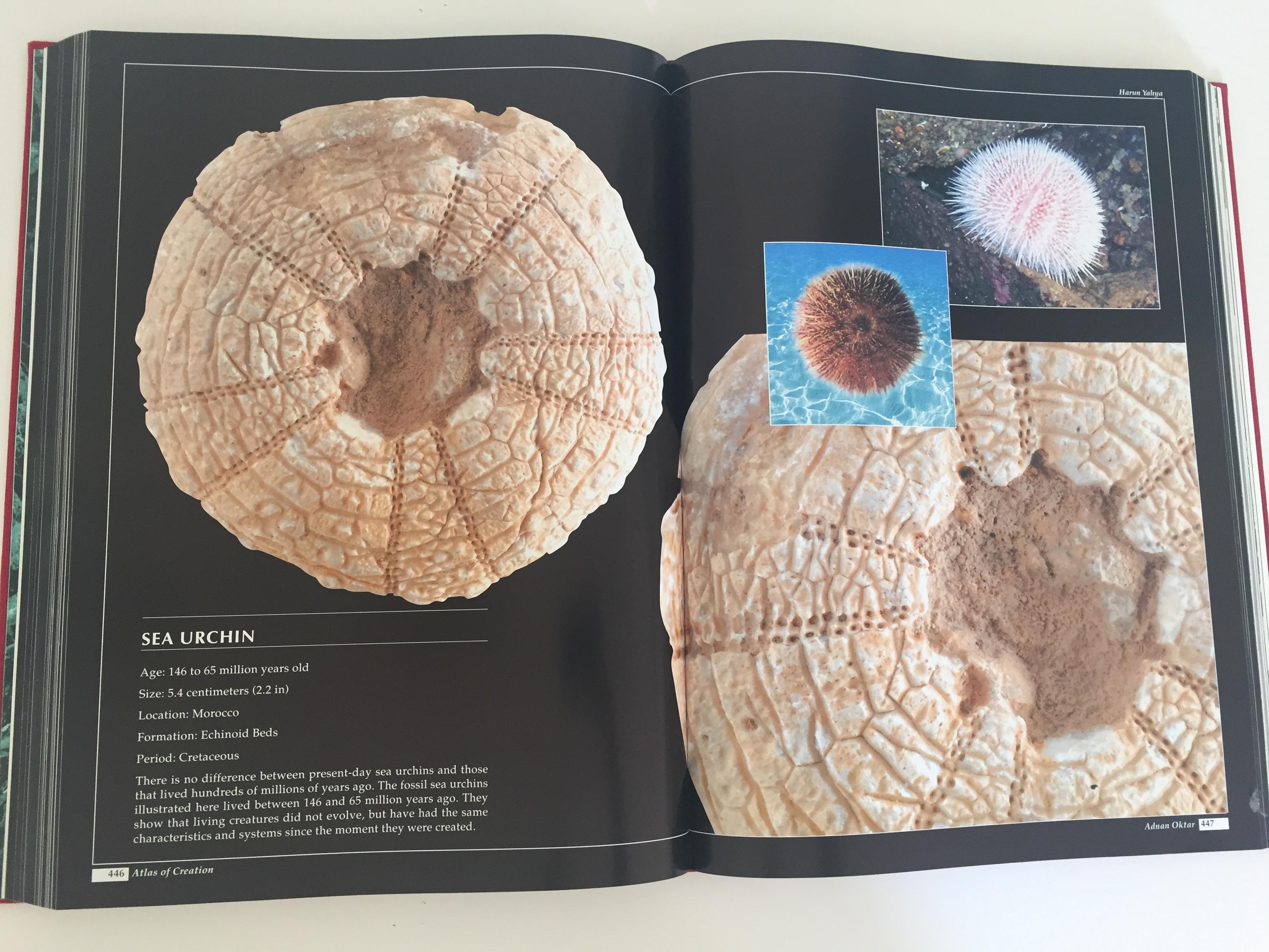 Atlas of Creation by Haroun Yahya Coffee Table Display Book 3