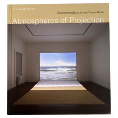 Atmospheres of Projection: Environmentality in Art and Screen Media