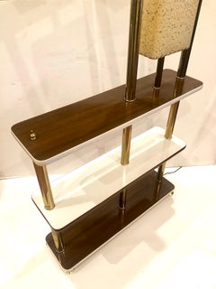 Atomic Age Room Divider Shelf and Lamp Combo Unit