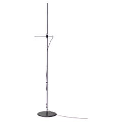 Vintage Aton Floor Lamp by Ernesto Gismondi for Artemide