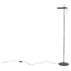 Lampadaire Aton Terra par Ernesto Gismondi pour Artemide, Italie - 1980