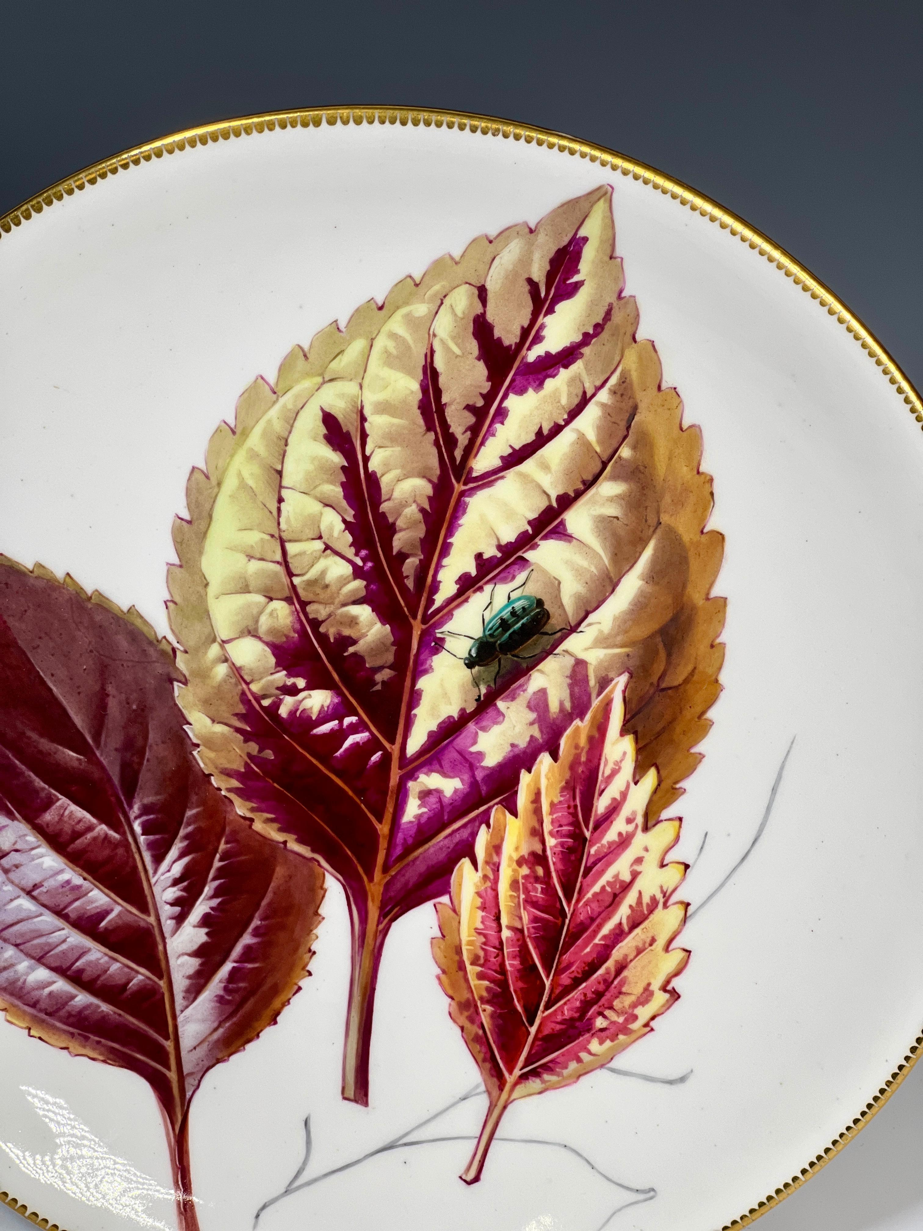 Este raro plato de vitrina pintado a mano del siglo XIX se atribuye a Minton y lleva la marca del famoso minorista londinense A. B. Daniell & Son. El fondo blanco proporciona un bonito contraste y el borde está decorado con oro. Mide 9