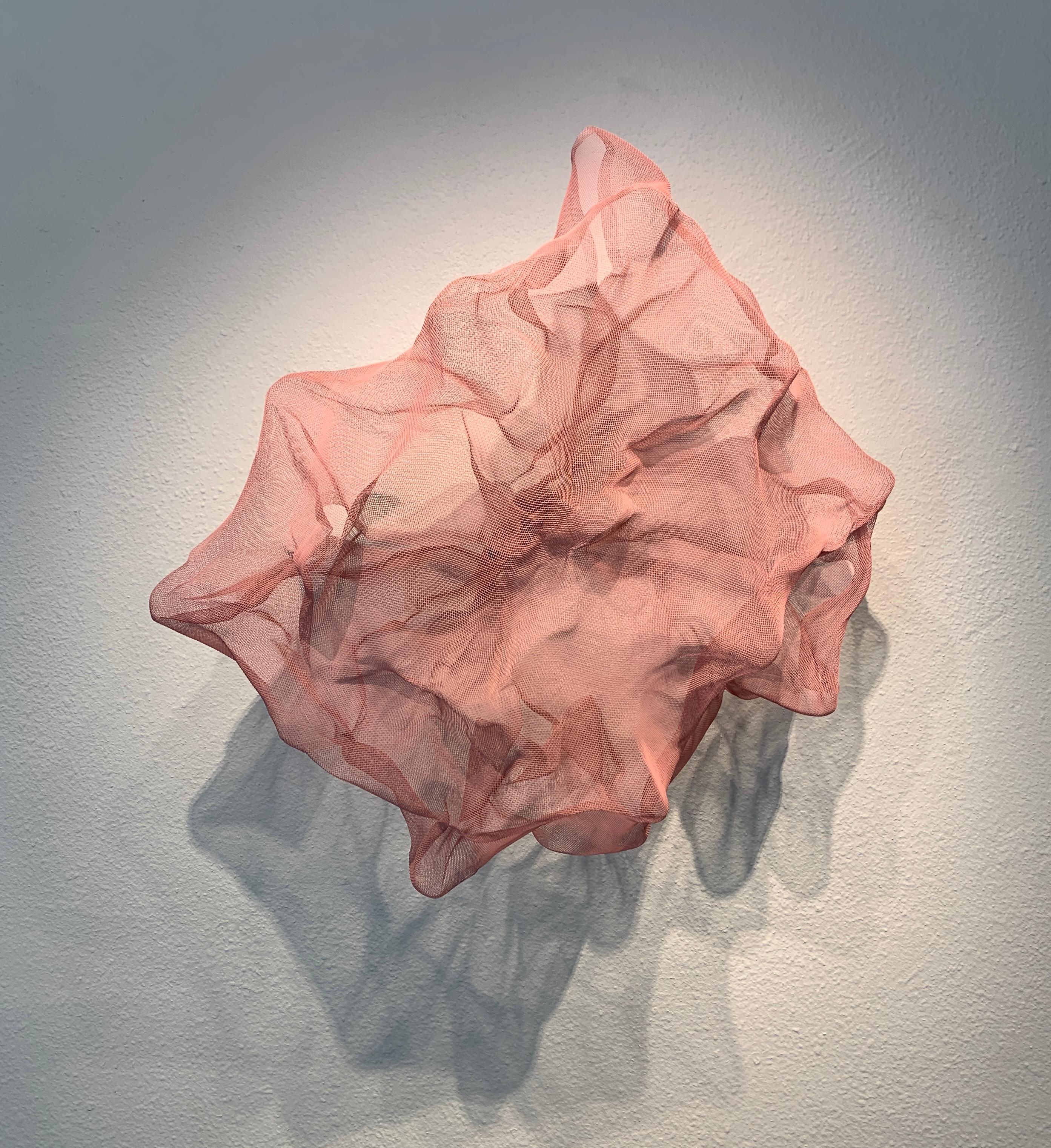 Atticus Adams Cumulus (Candy Pink) Abstract Metal Mesh Wall Sculpture Screen Shadow & Light

This piece can be hung from the ceiling, hung from a wall, or used on a pedestal or table.

Metal fiber sculpture that incorporates fascinating light and