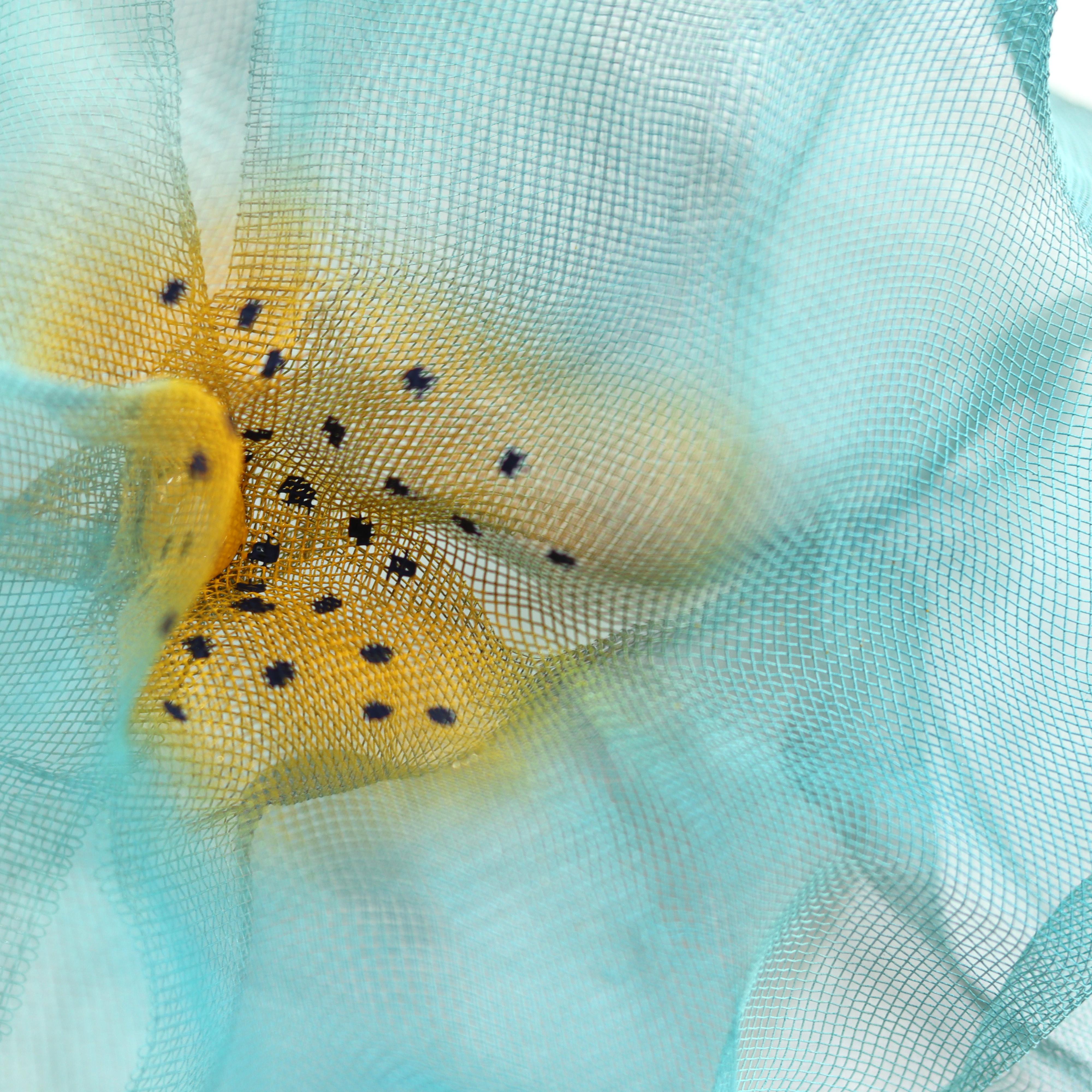 Cotton Candy Cumulus Aqua Gold - Abstract Three-Dimensional Wall Artwork For Sale 6