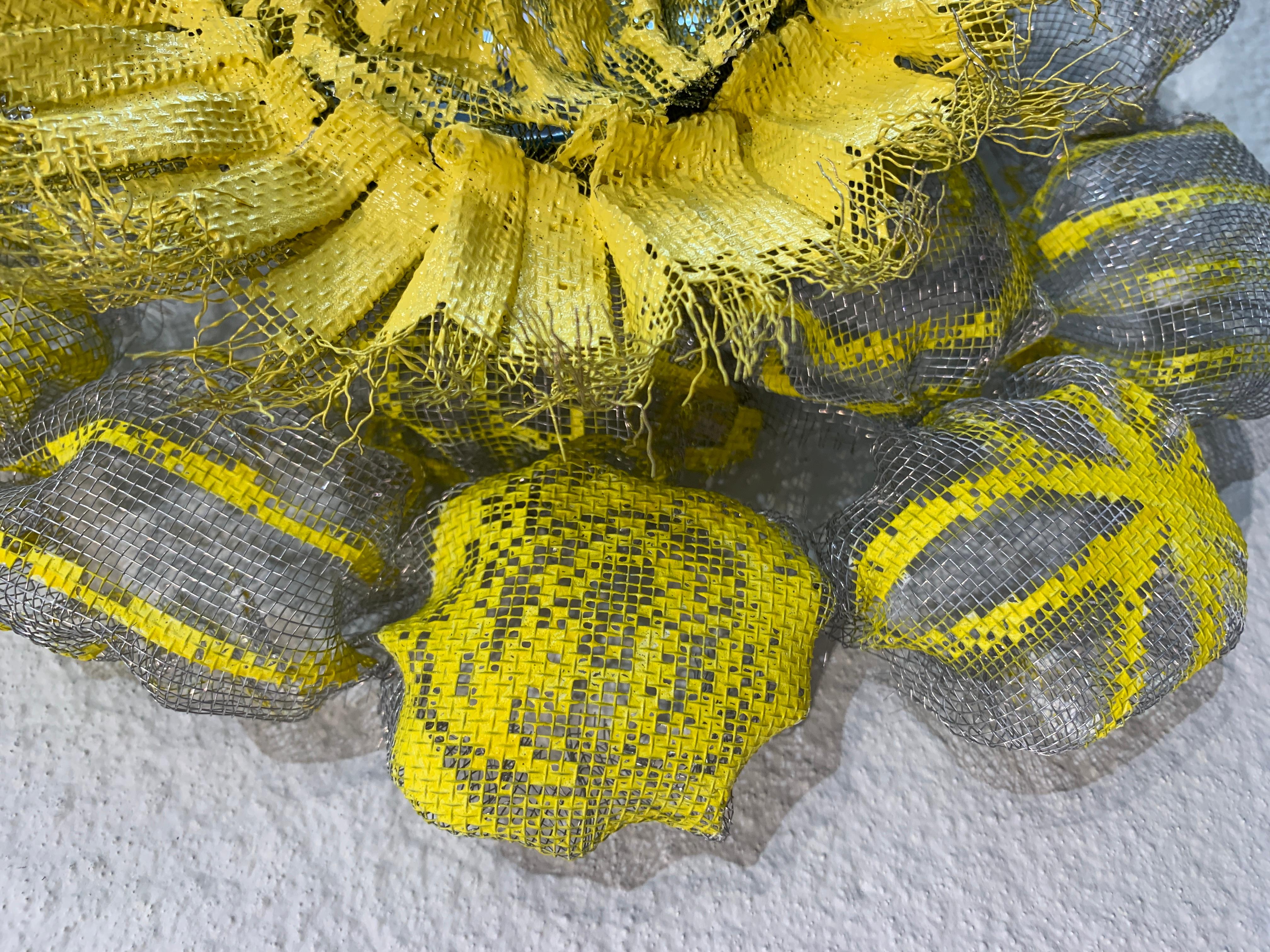 Flora Narcissus - Yellow Burst, Atticus Adams Metal Mesh & Mirror Wall Sculpture

Metal fiber sculpture that incorporates a mirror, fascinating light and shadow into its form.

NOTE:  This piece can be combined with the OTHER Flora Narcissus pieces