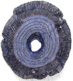 Sujoon - Cornflower Portal - Large Lightweight Three-Dimensional Wall Sculpture