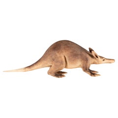 Atticus the Aardvark: African Night Wanderer in Lifelike Taxidermy