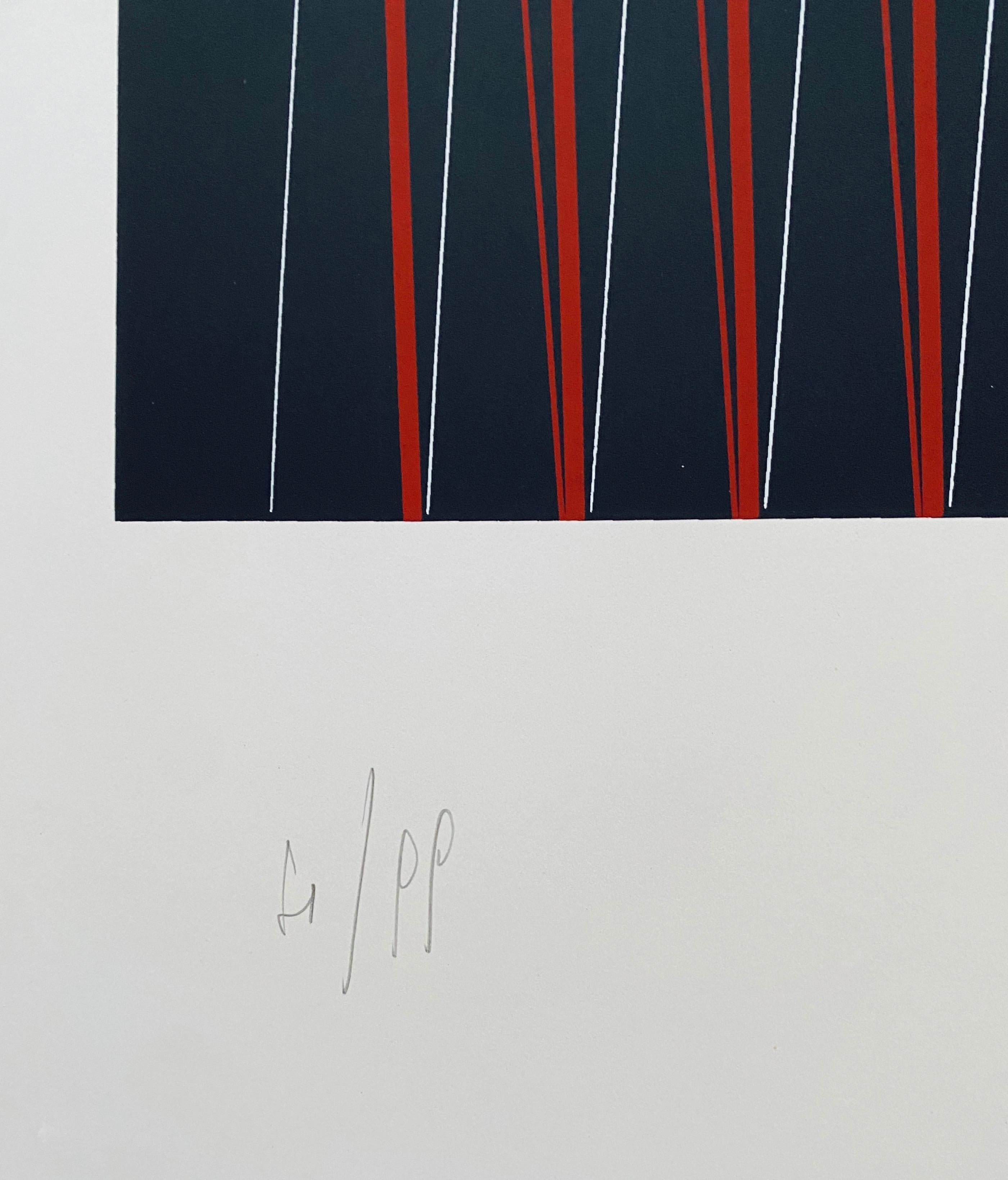 Arte Óptico Cinético Italiano Attilio Taverna Serigrafía Litografía Impresión Light Artist en venta 4