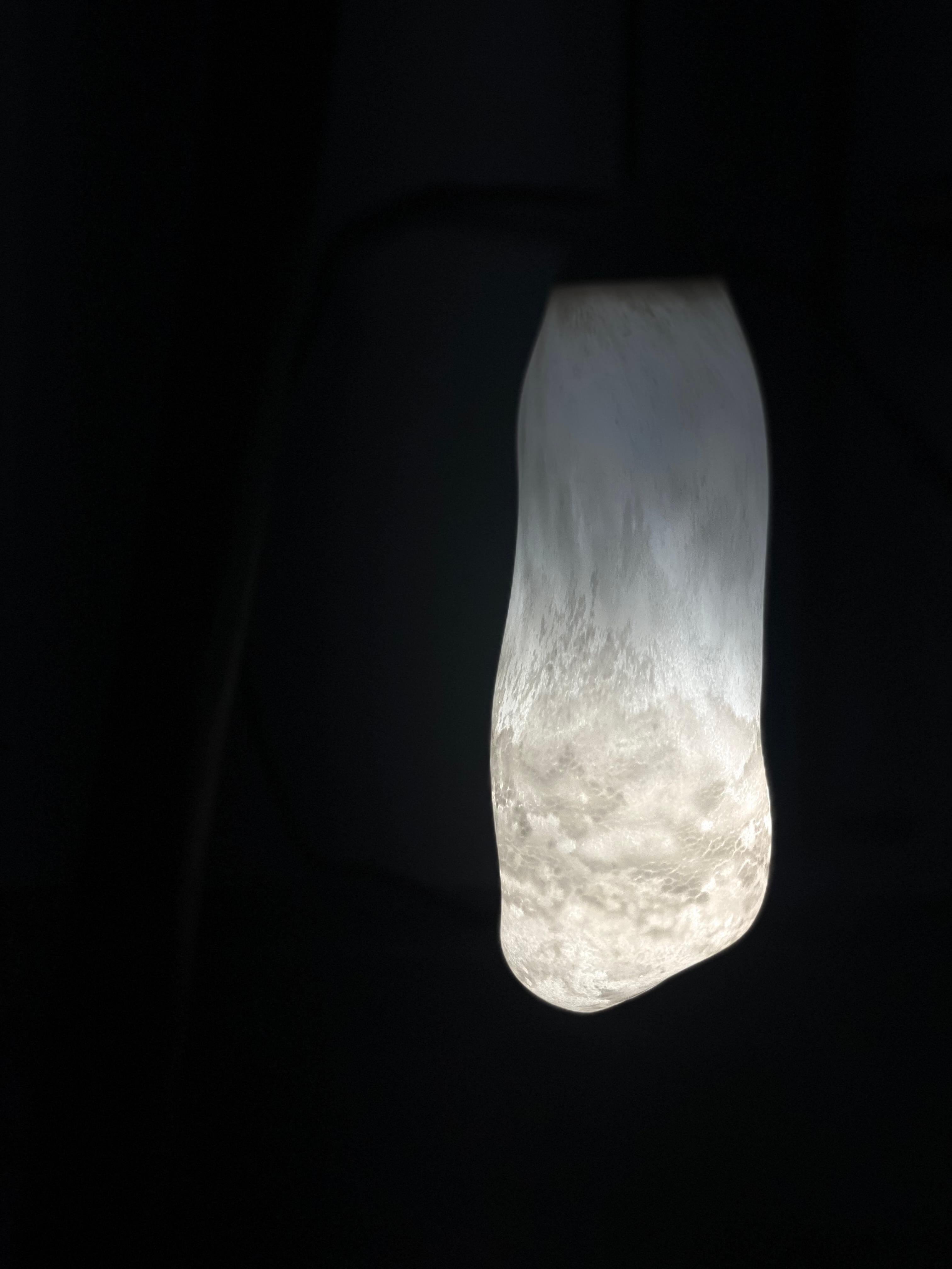 Organische skulpturale schwarze holz & glas Contemporary stehlampe von Jérôme Pereira im Angebot 1