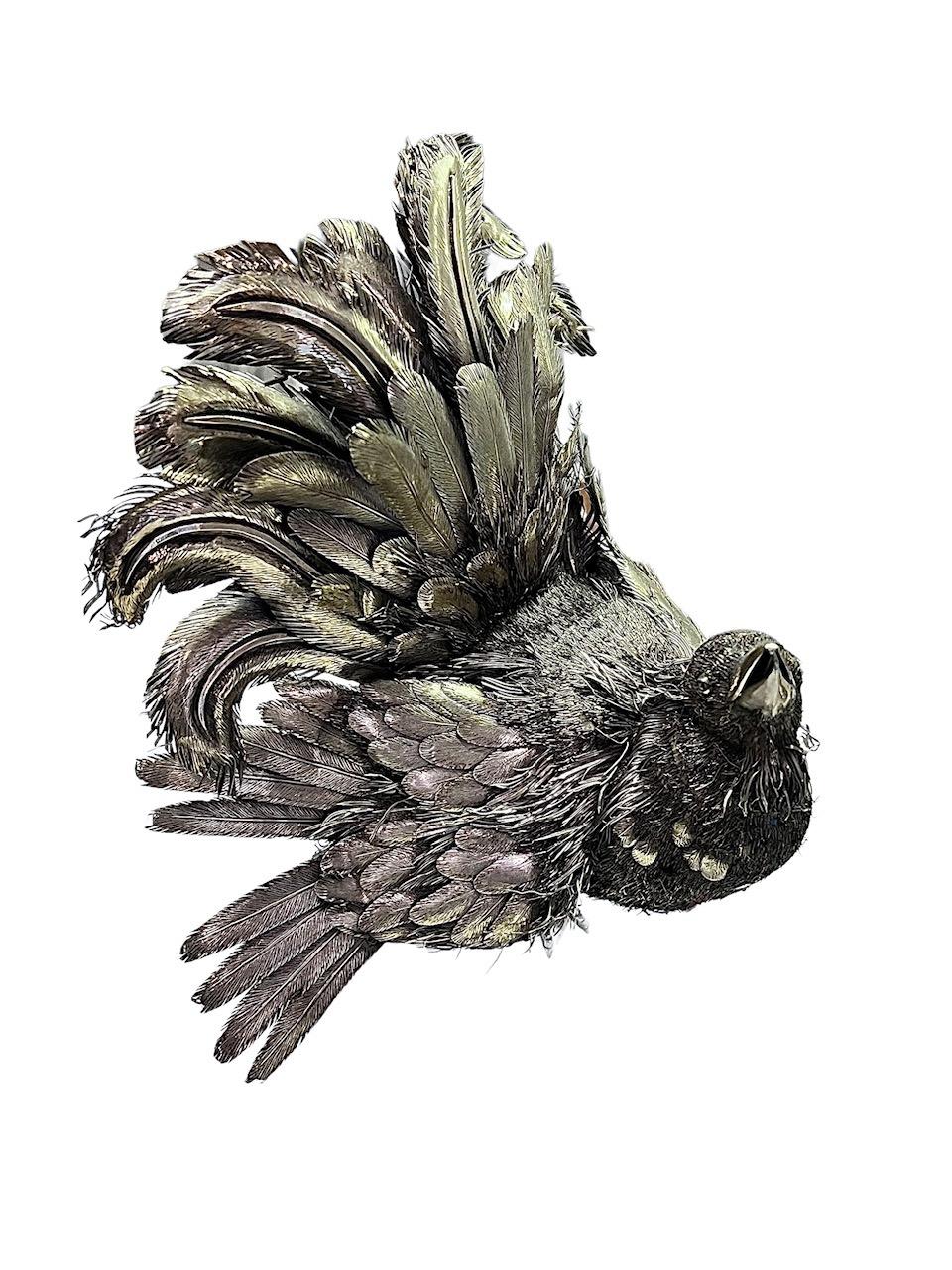 gallo cedrone disegno