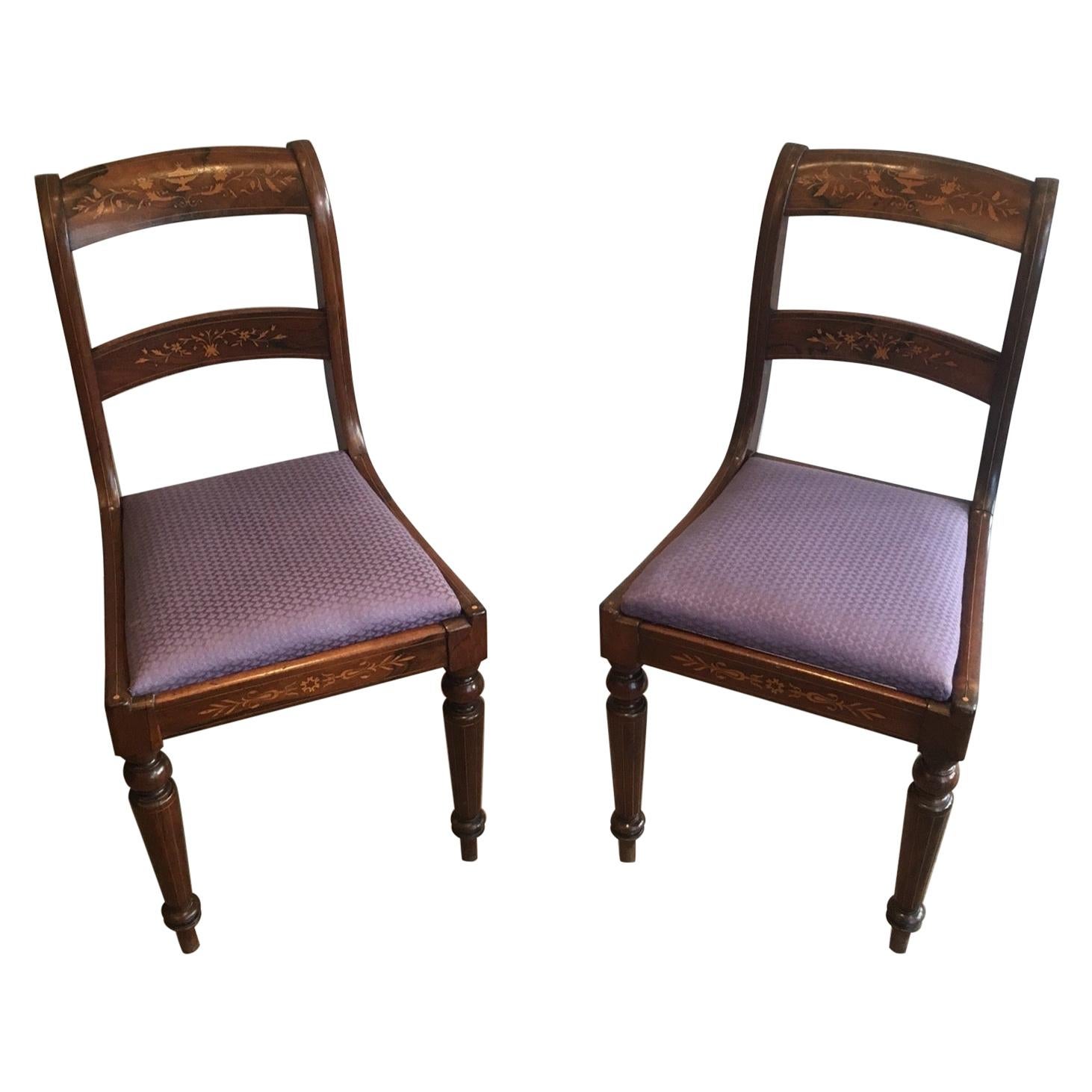 Attributed to Jeanselme, Pair of Charles the Xth Rosewood and Lemon Tree Chairs