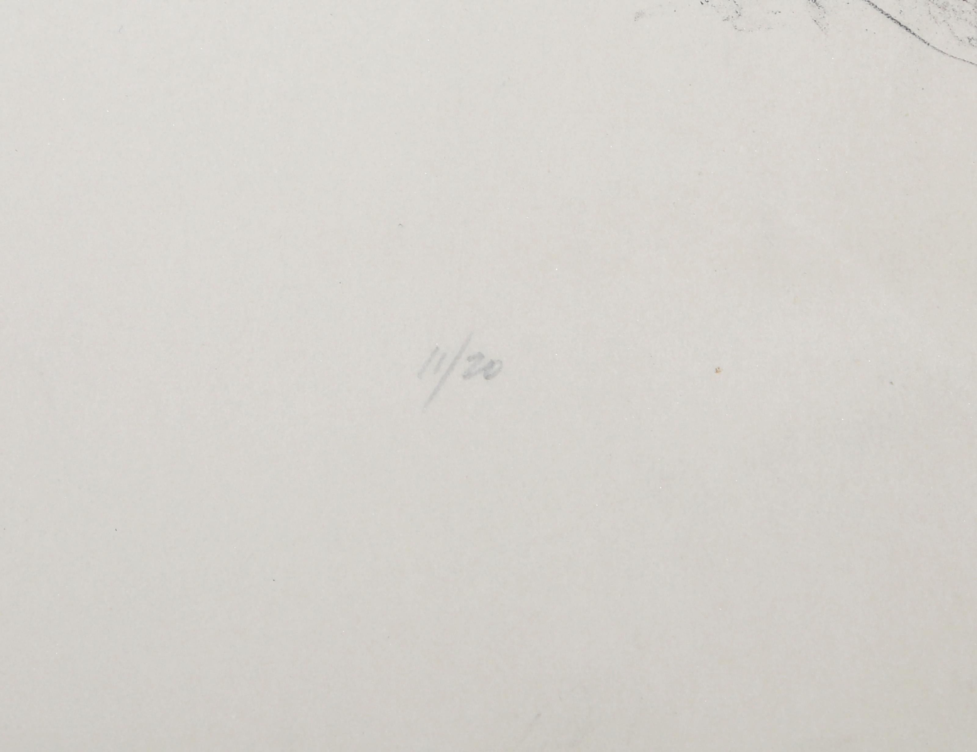 Ritratto di donna, litografia moderna di Aubrey Schwartz in vendita 2