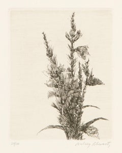 Flores silvestres I, Grabado moderno de Aubrey Schwartz