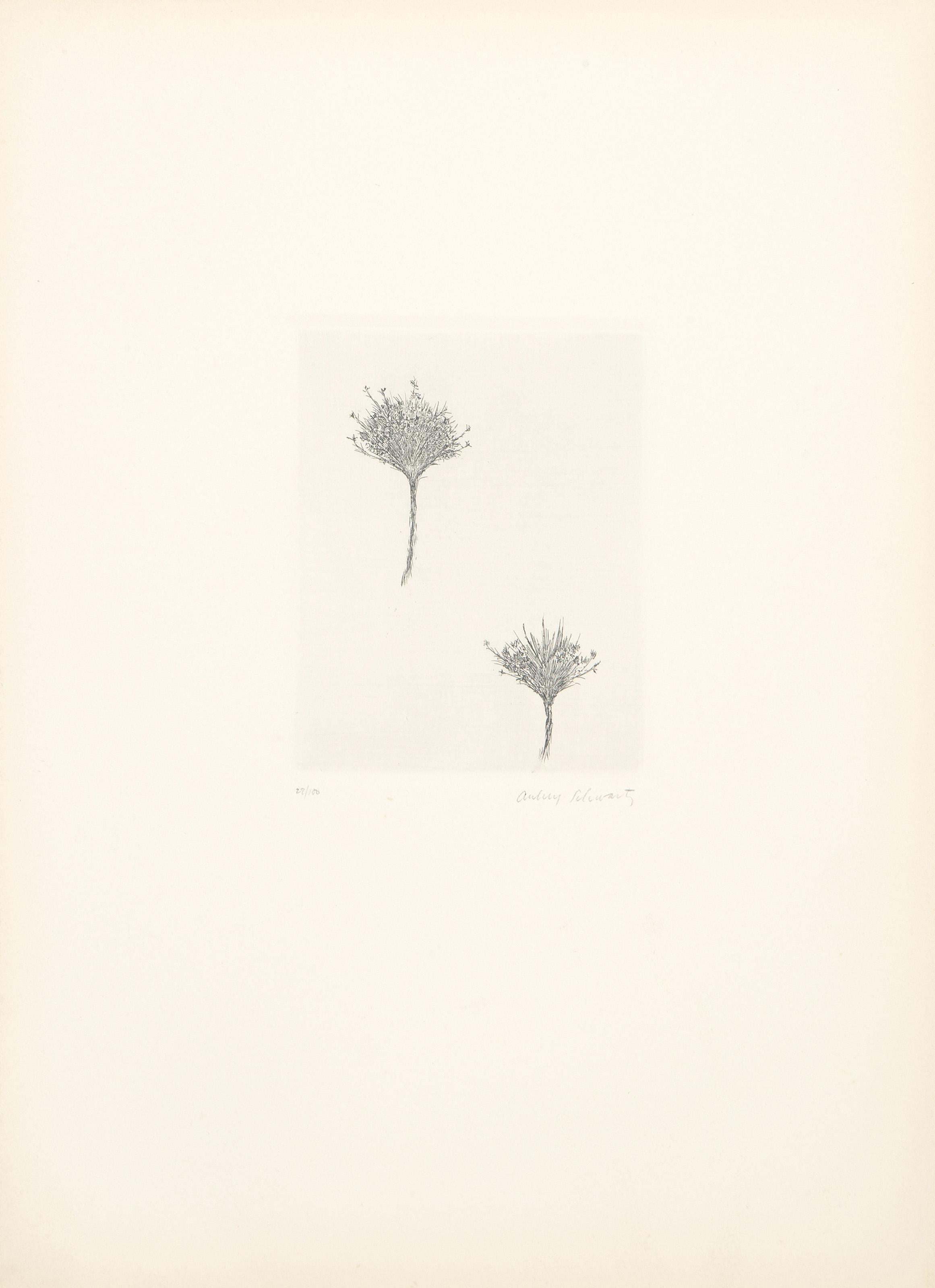 Flores silvestres II, grabado moderno de Aubrey Schwartz en venta 3