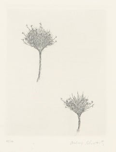 Flores silvestres II, grabado moderno de Aubrey Schwartz
