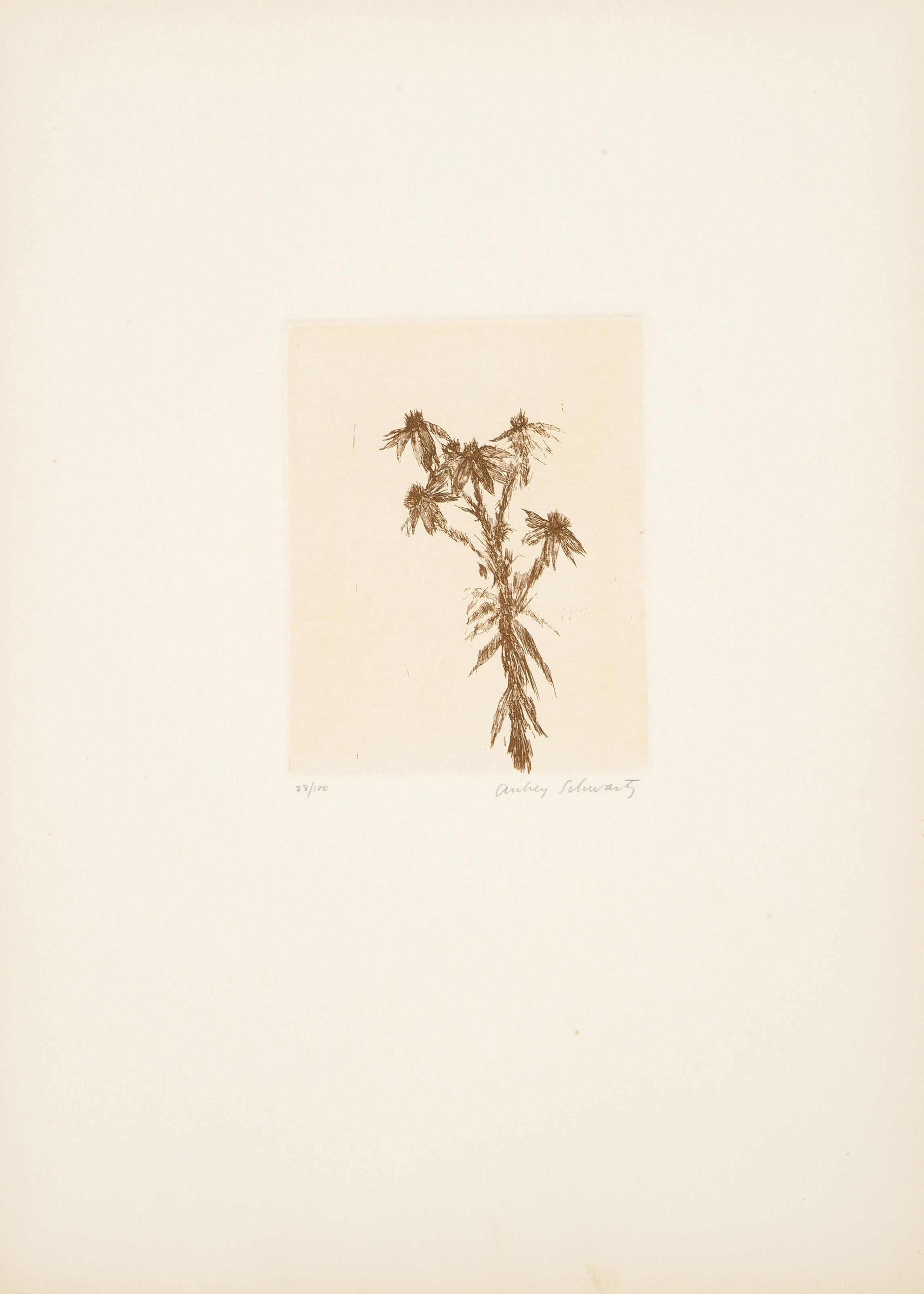 Flores silvestres VIII, grabado moderno de Aubrey Schwartz en venta 1