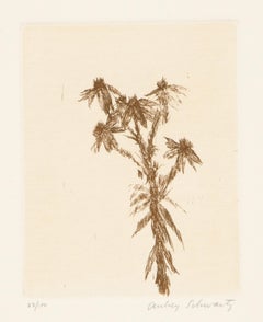 Flores silvestres VIII, grabado moderno de Aubrey Schwartz
