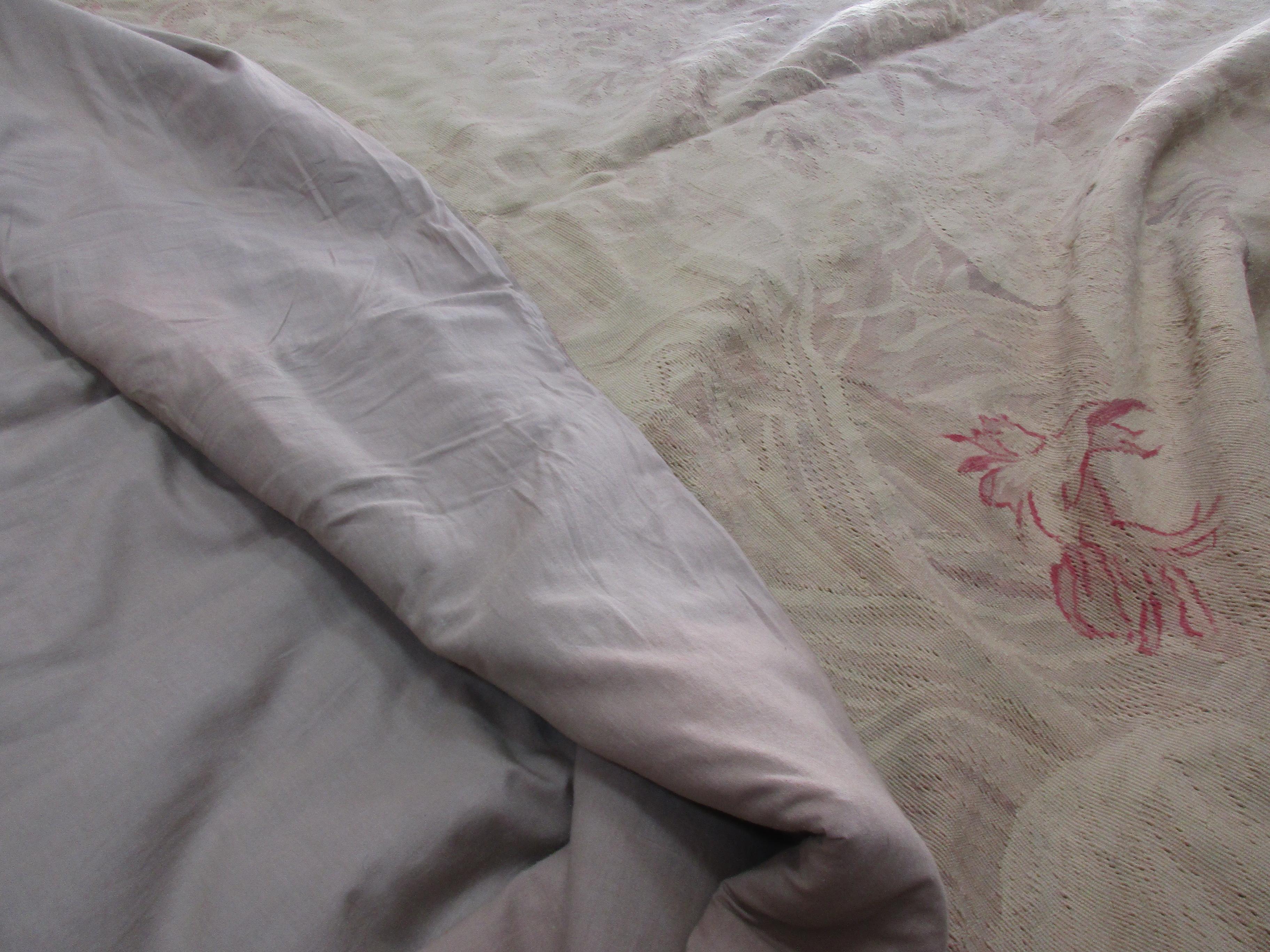 Aubusson arazzo francese fatto a mano in lana e cotone. en vente 3