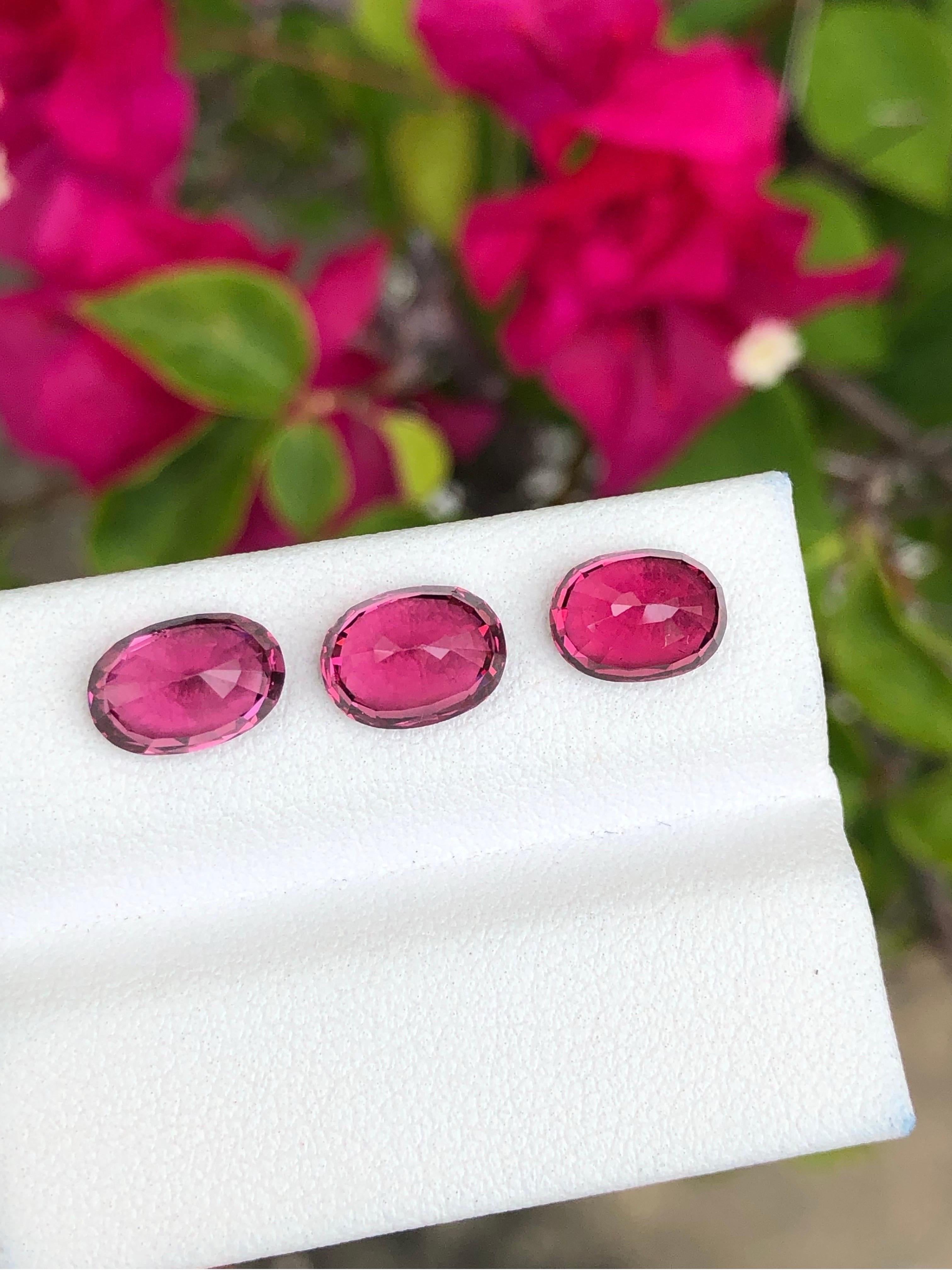 Malawi Granat lot 6,90 Karat Rosa Rot Oval im Angebot 1