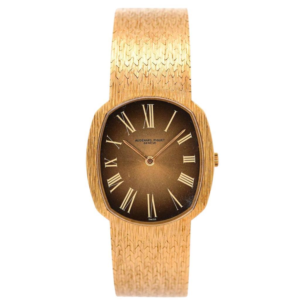 Audemars Piguet 28mm 18K Gold Brown Fumé Sunburst Mesh Bracelet Watch For Sale