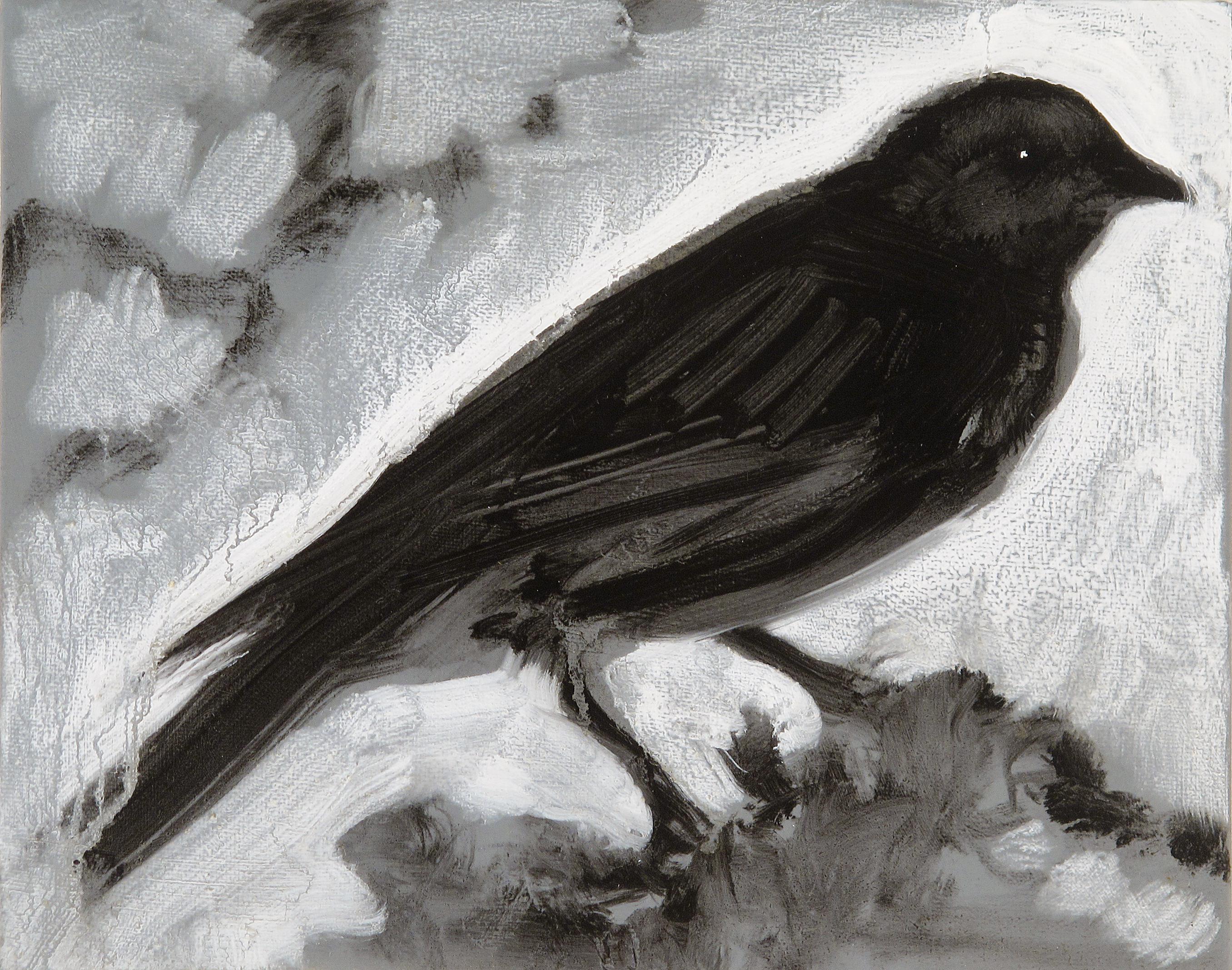 Audrey Anastasi Animal Painting - Darkling, monochromatic bird, black white grey