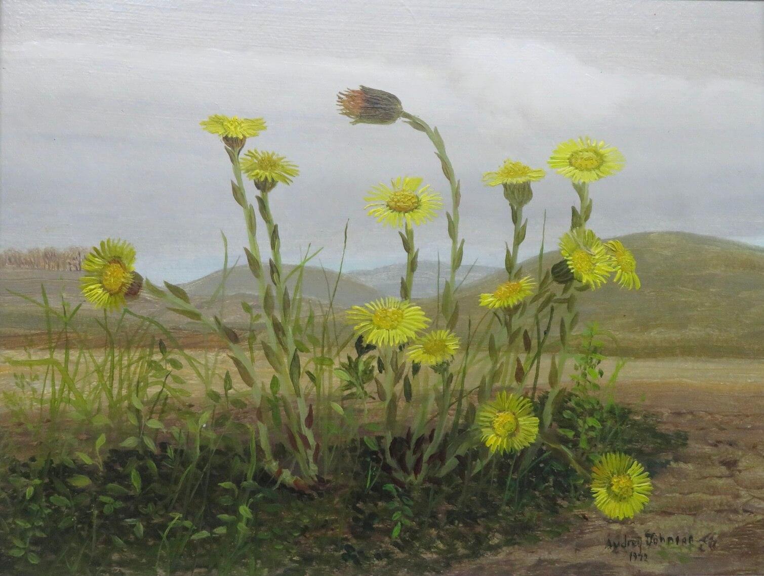 Originale dipinto ad olio realista STILL LIFE OF WILDFLOWERS (Natura morta di fiori di campo) - Painting di Audrey Johnson