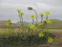 Original English Delicate realist oil painting STILL LIFE OF WILDFLOWERS