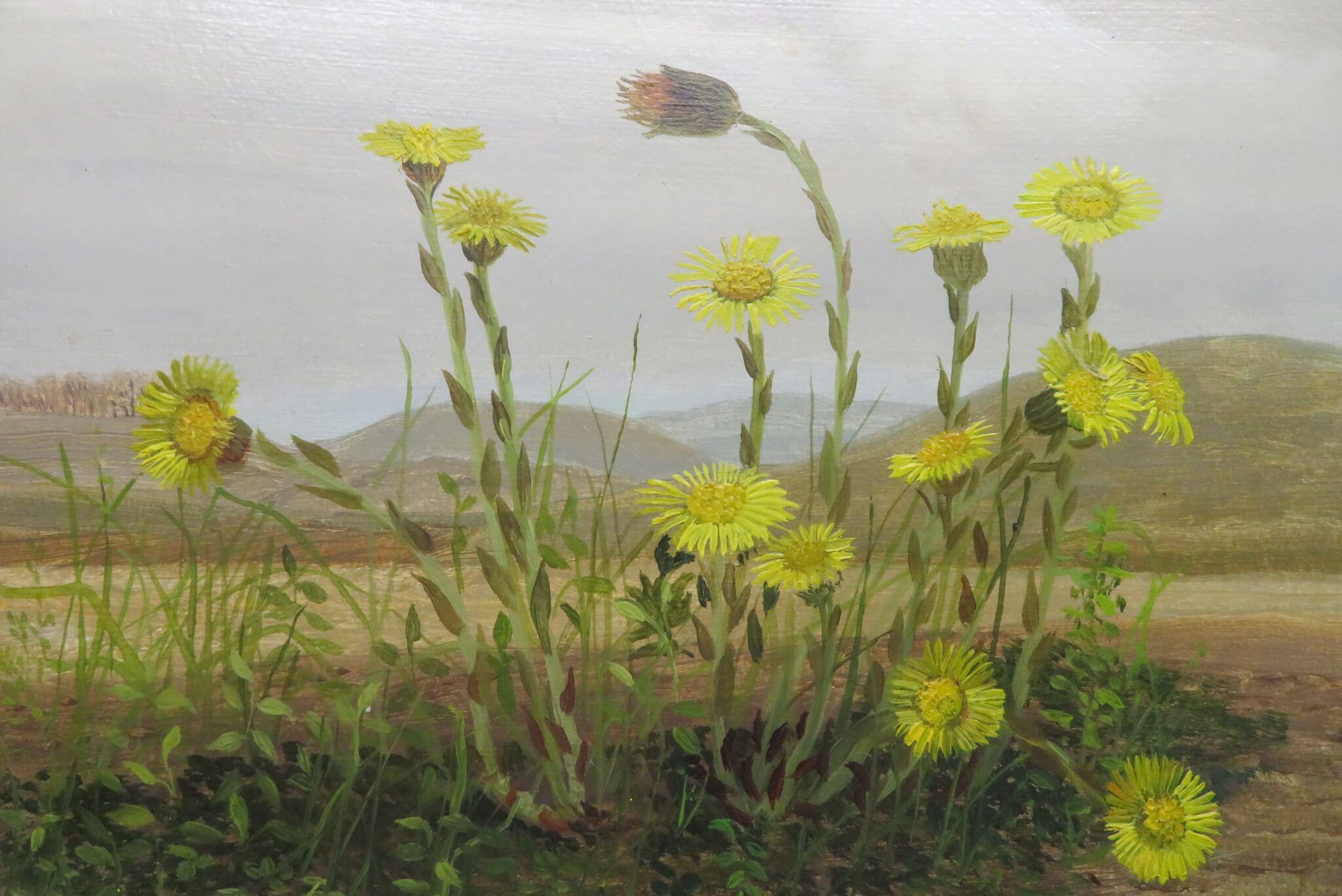 Originale dipinto ad olio realista STILL LIFE OF WILDFLOWERS (Natura morta di fiori di campo) - Painting Realismo di Audrey Johnson