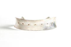 Audrey Werner, Anticlastic 18-Karat Sterling Silver Torque, Stati Uniti, 2002