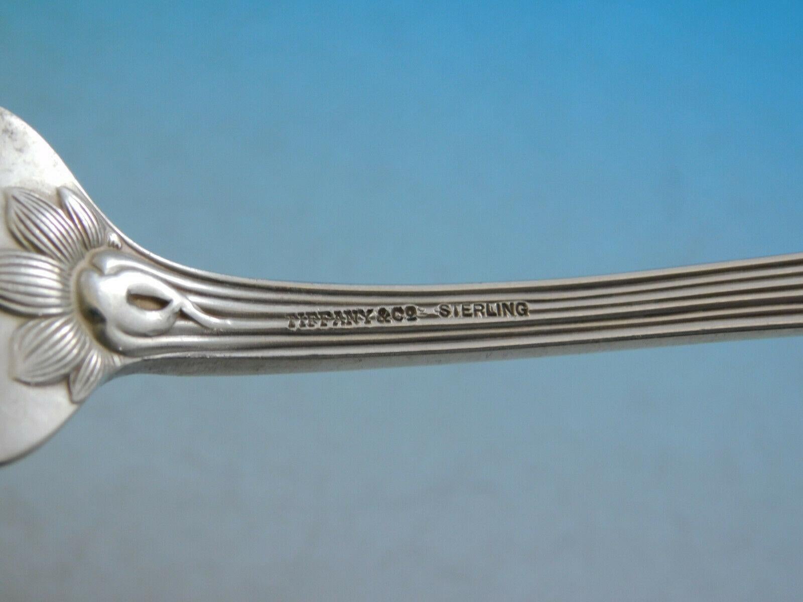 Audubon by Tiffany & Co Sterling Silver Flatware Set Dinner Service Birds 40 Pcs 1