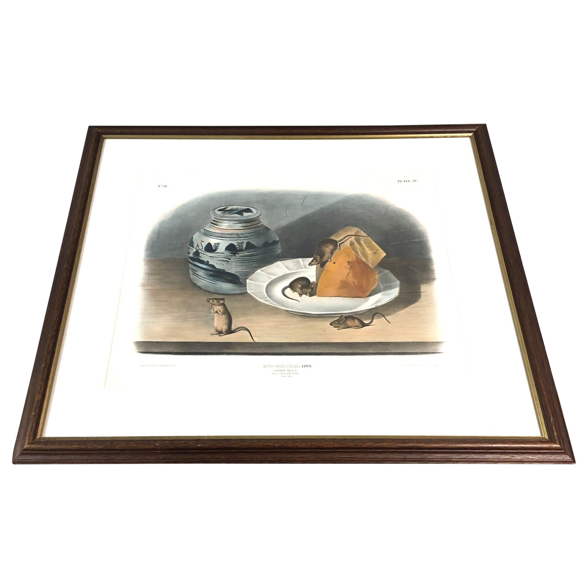 Stampa originale di Audubon 1846 Il topo comune Volume 2 No 18 Plate 90 in vendita