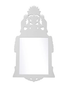 Audubon Royal Mirror in Graytint