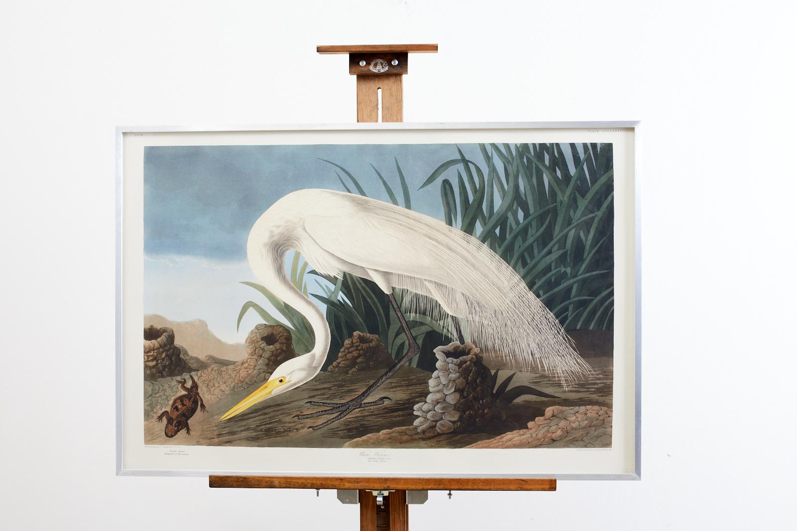 20th Century Audubon White Heron Plate #386 Havell