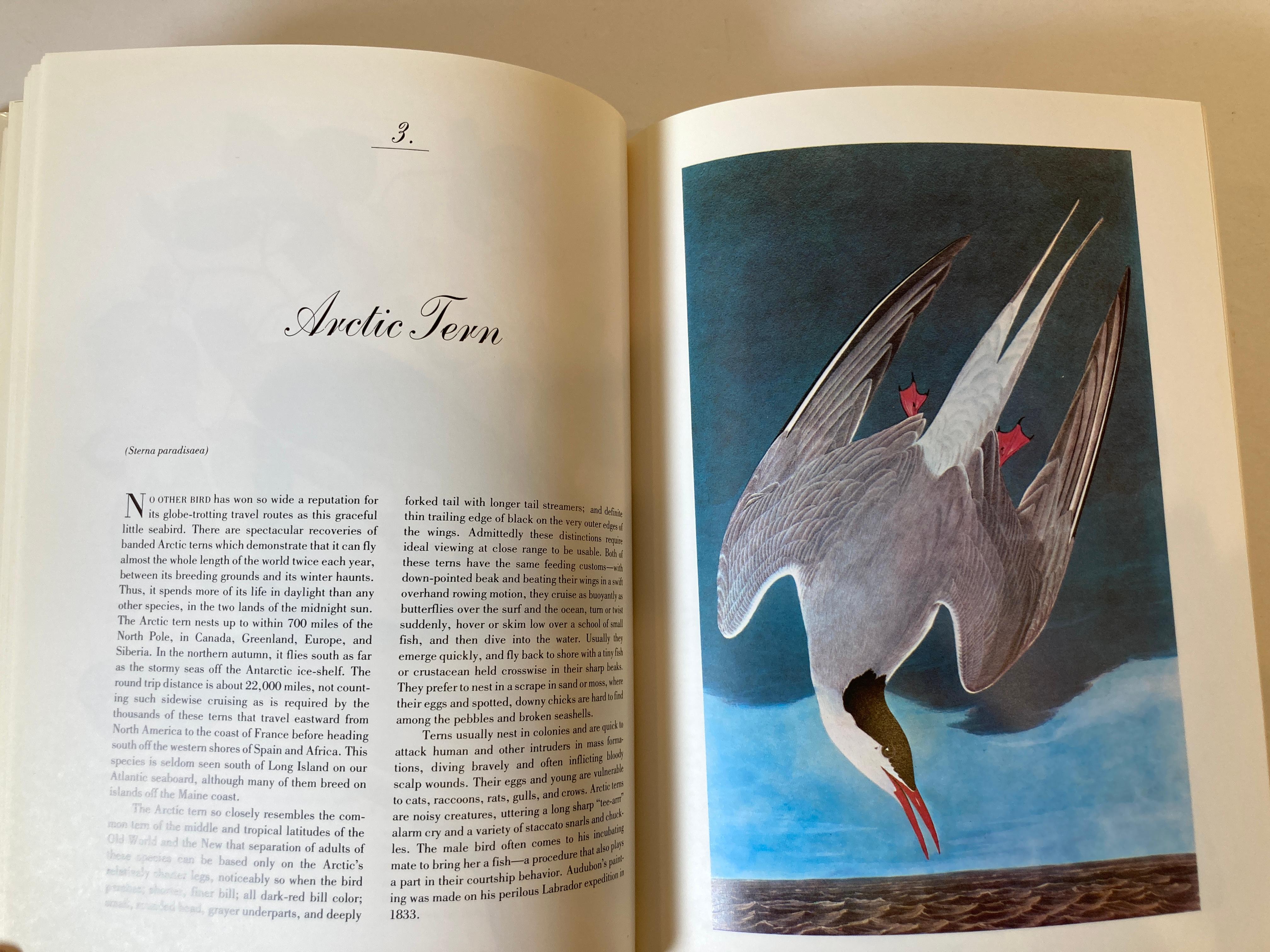 Audubon's Birds of America by George Dock Jr. Hardcover Collector Book 2