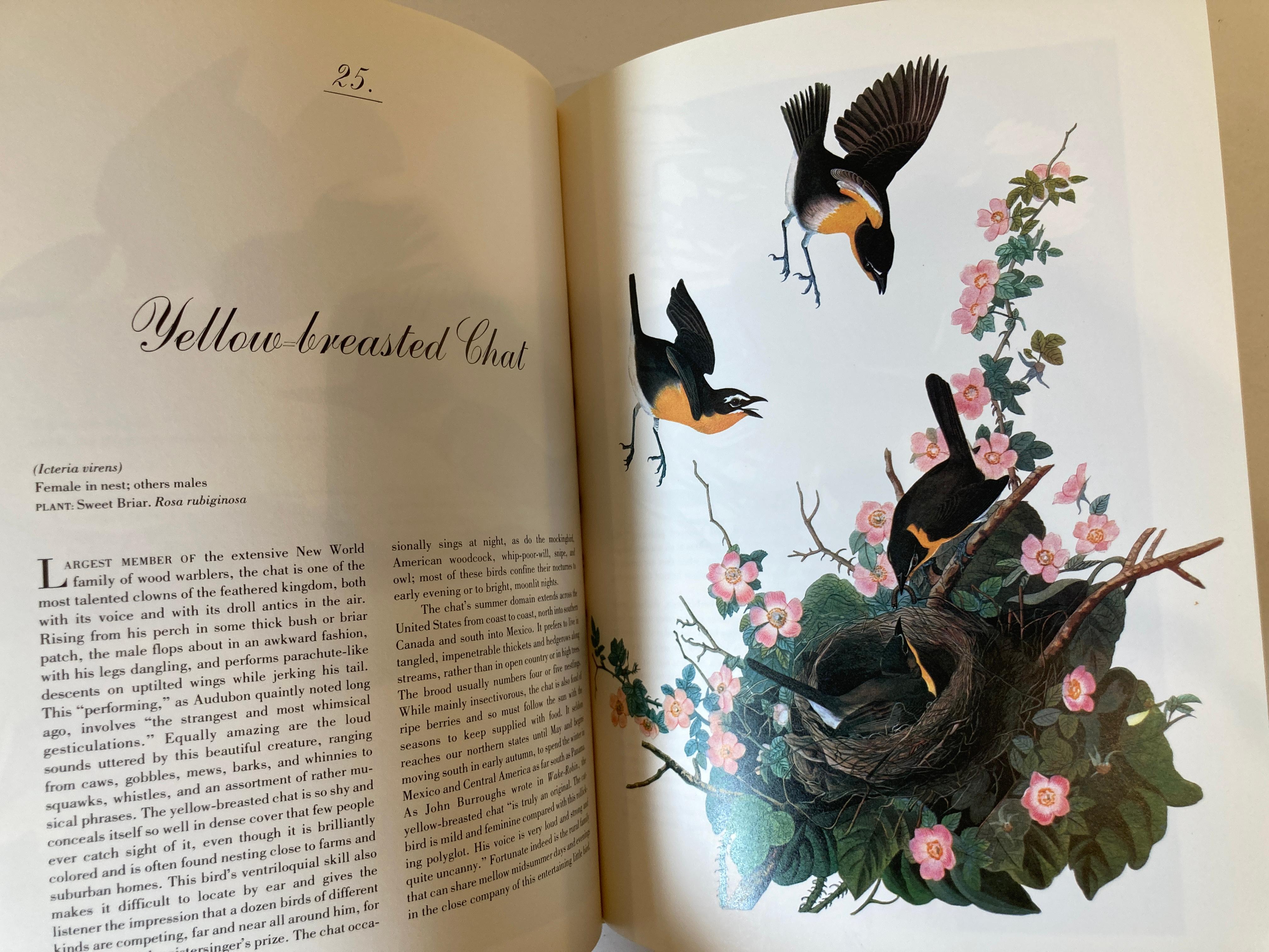 Audubon's Birds of America by George Dock Jr. Hardcover Collector Book 5