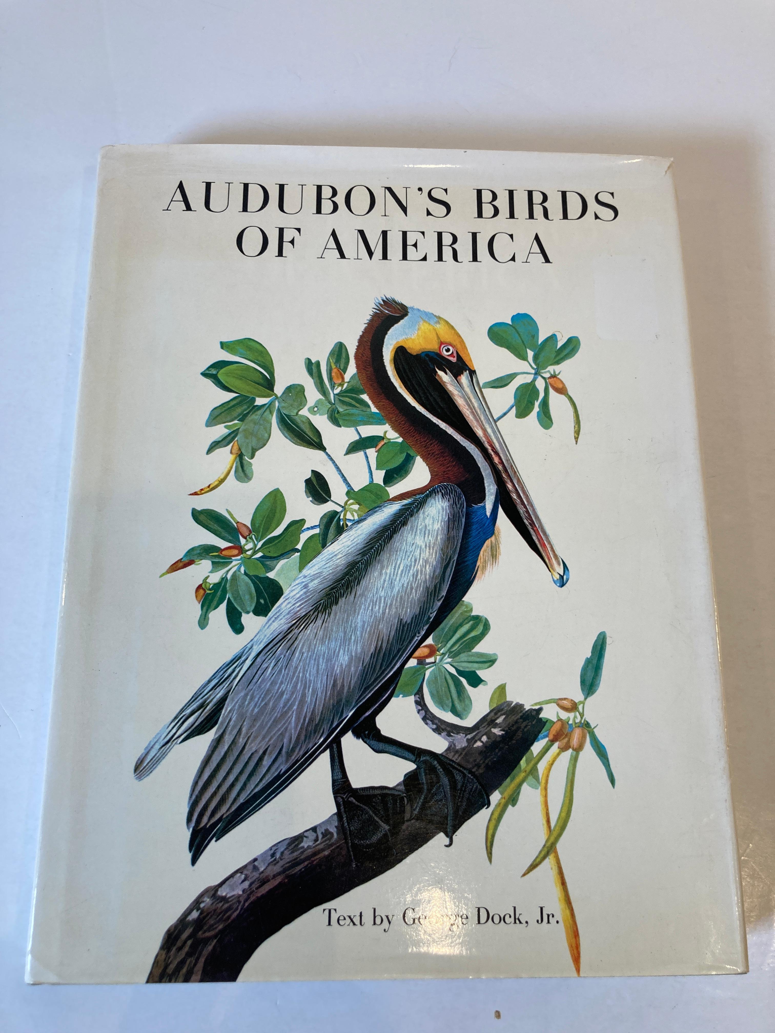 Audubon's Birds Of America by George Dock Jr. Hardcover 
Edition of 1978.
The Birds of America is a book by naturalist and painter John James Audubon, containing illustrations of a wide variety of birds of the United States. It was first published