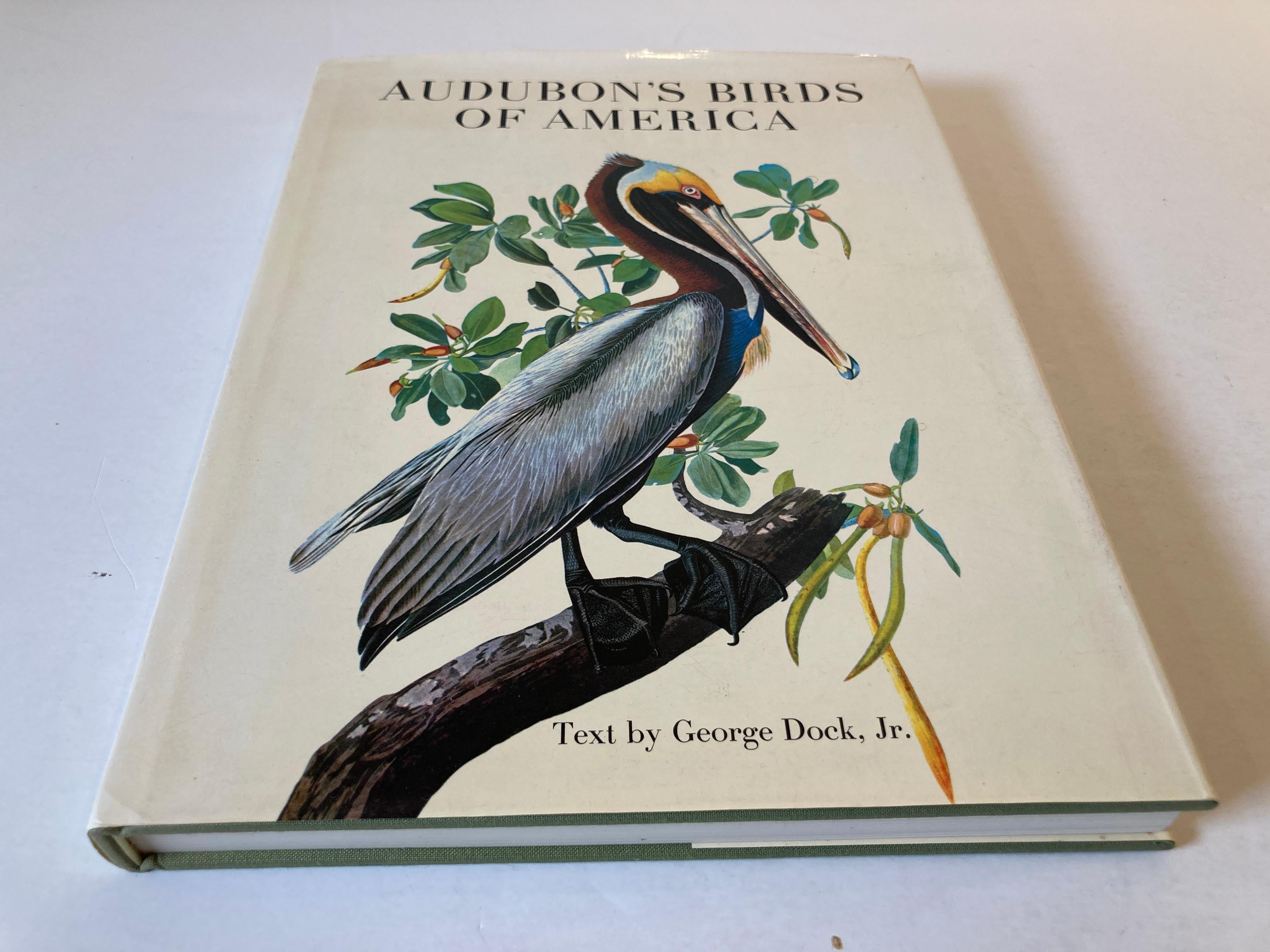 audubon coffee table book