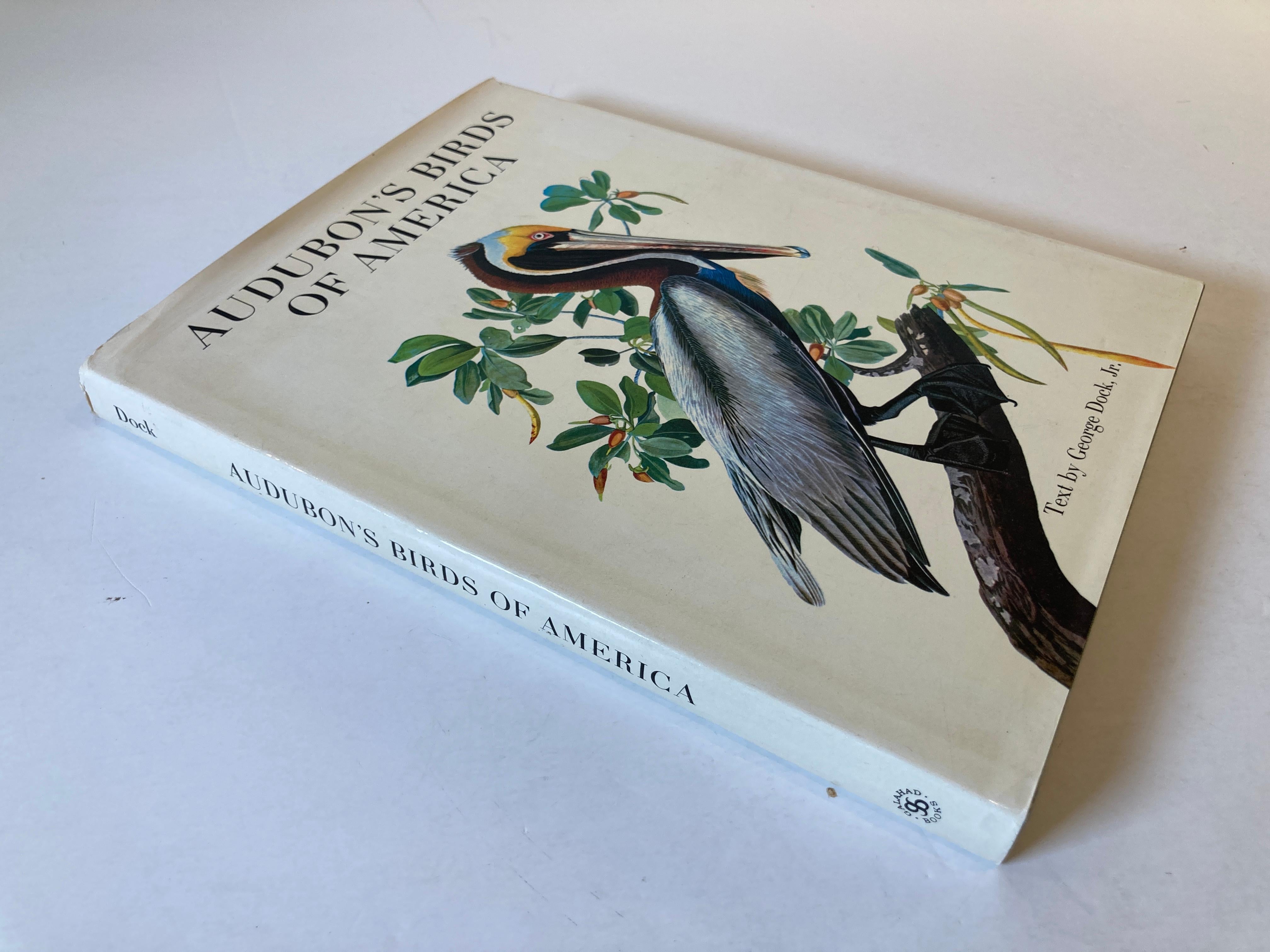 Expressionist Audubon's Birds of America by George Dock Jr. Hardcover Collector Book