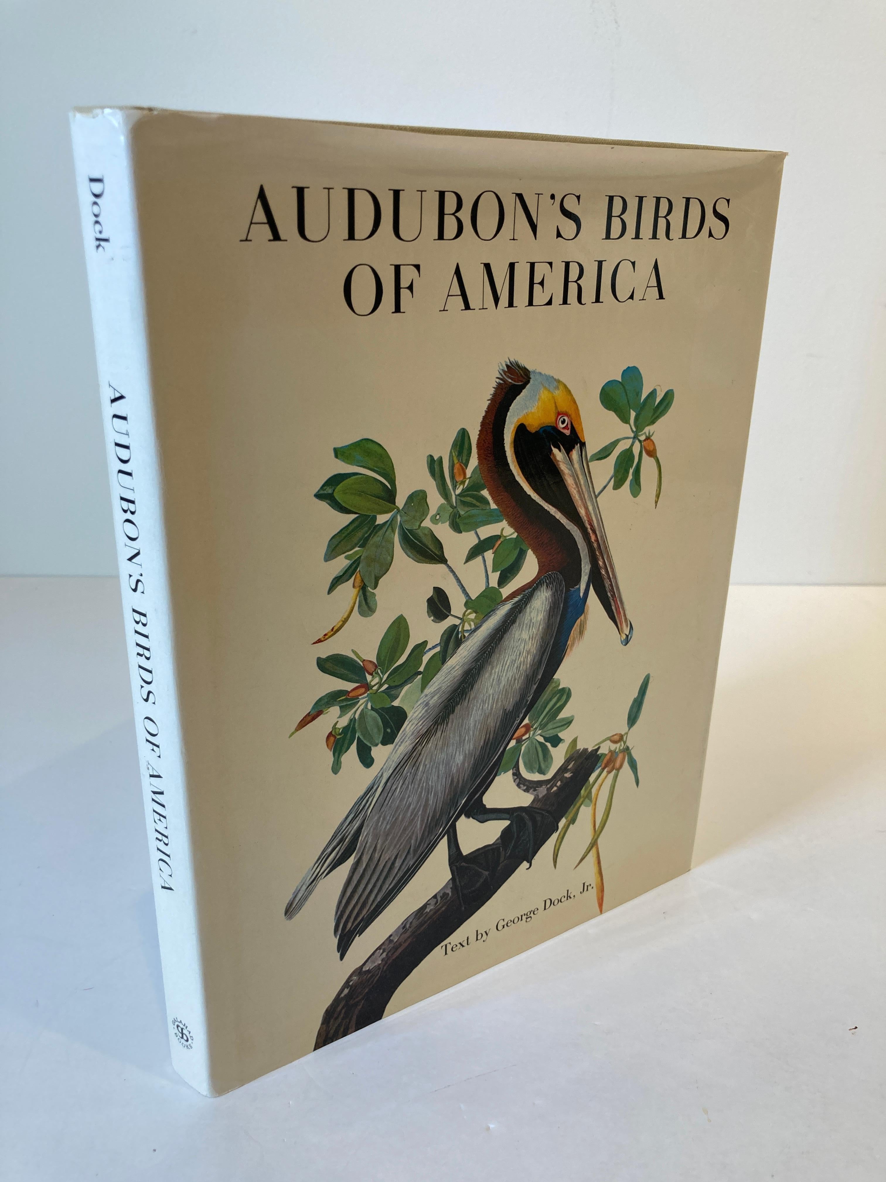 American Audubon's Birds of America by George Dock Jr. Hardcover Collector Book