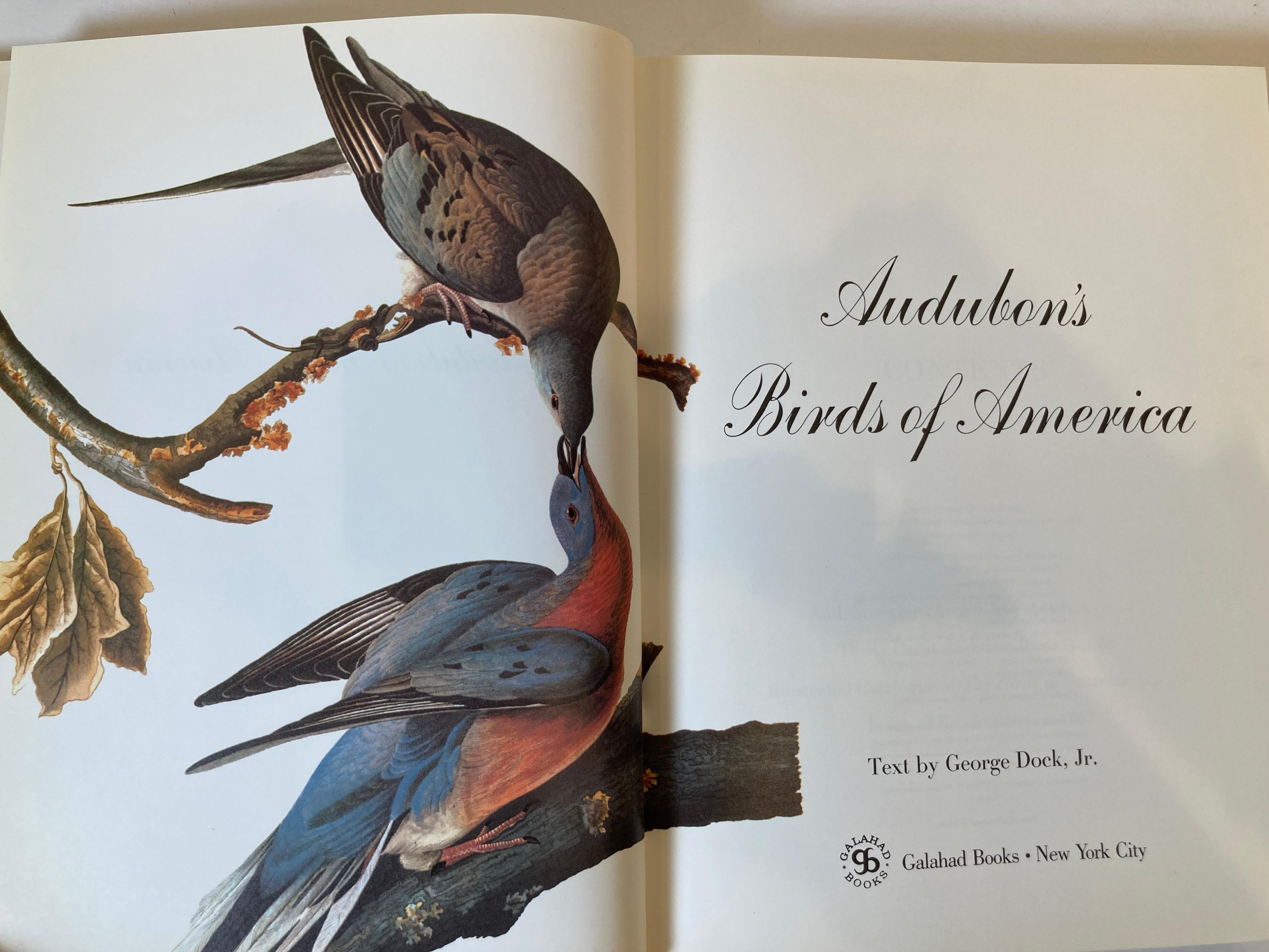 20th Century Audubon's Birds of America by George Dock Jr. Hardcover Collector Book