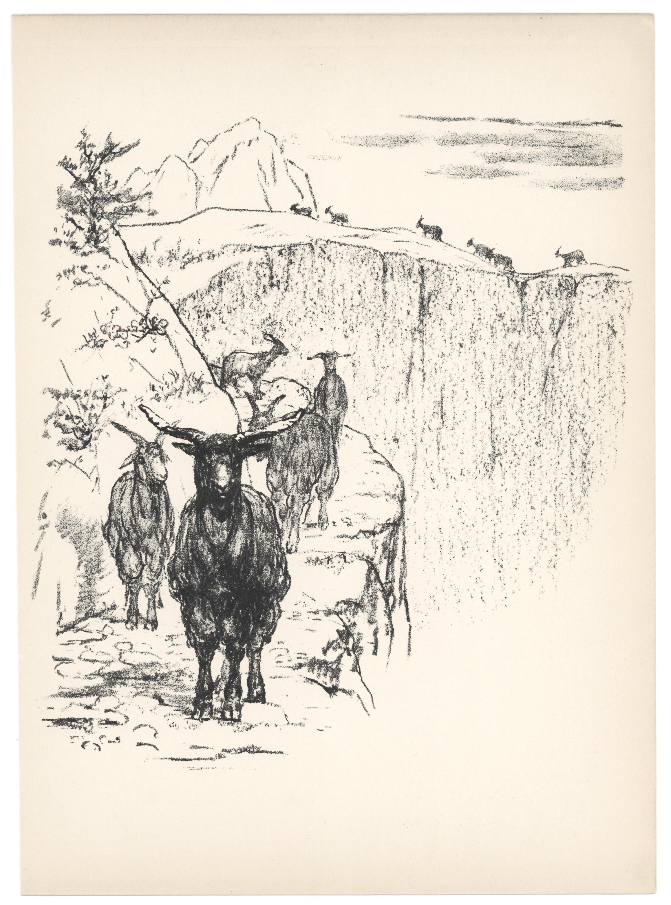 "Goats" original lithograph - Print by August Gaul