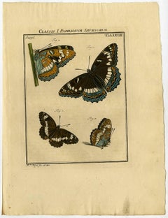 Classis I. Papilionum Diurnorum. Tab. XXXIII.