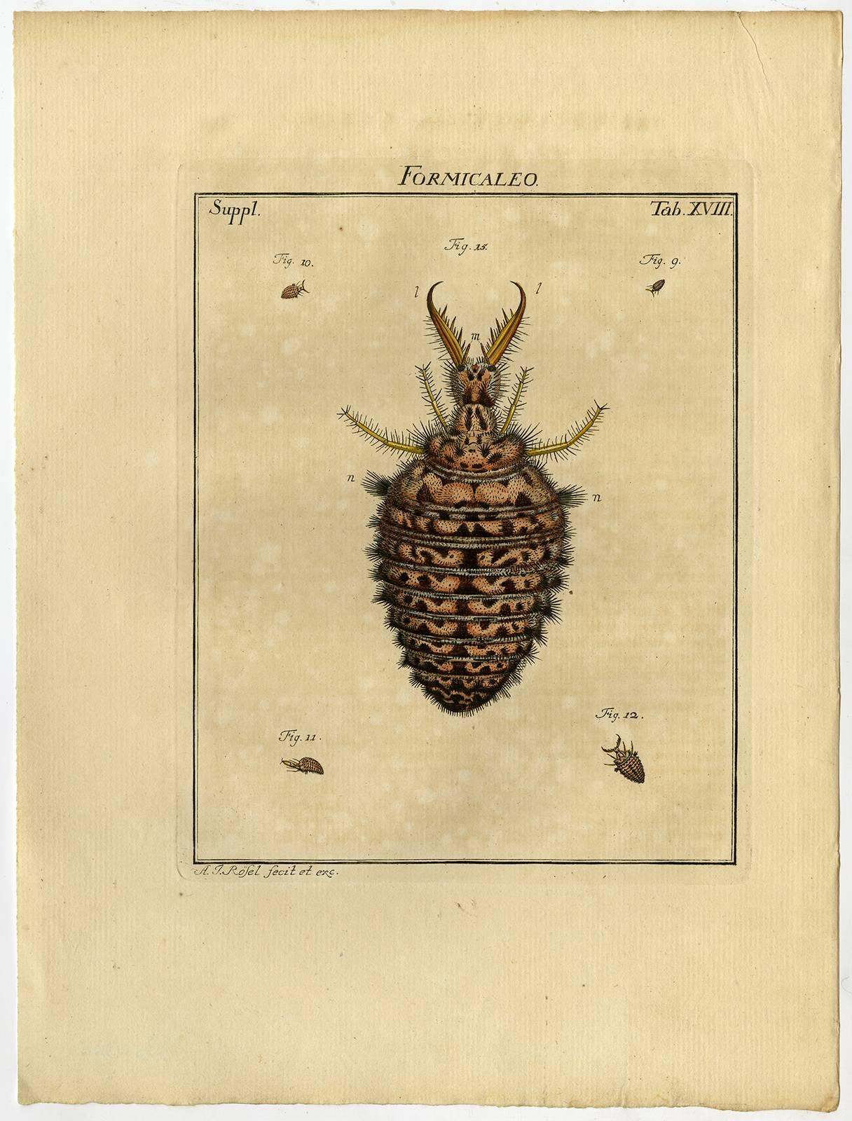 Formicaleao. Tab. XVII-XX. - Beige Print by August Johann Rösel von Rosenhof